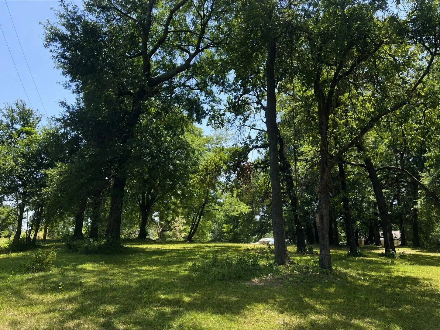 Unimproved Land For Sale in Henderson County , TBD Shady Shores Drive, Mabank, Texas 75156, 0, 0, Garage spaces, 0 Sqft, built in 0, Price $89,500, mls#21316248, Real Estate Agent in Mabank, Homes For Sale in Henderson county, Homes For Sale in Mabank, Realtor in Mabank Texas, Real Estate Brokerage Independent Realty Texas, Luminita Cordes Realtor