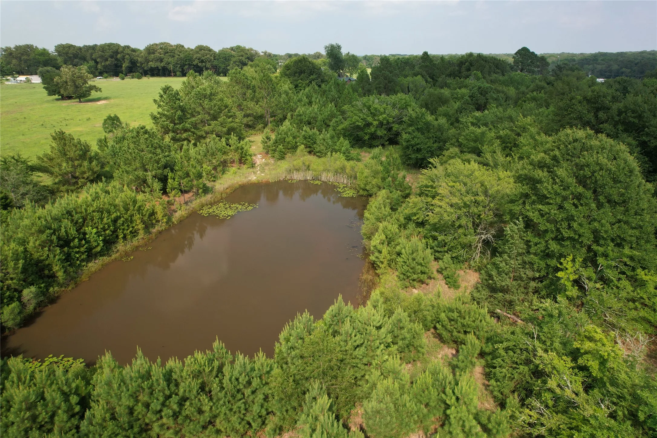 Single Family Residence For Sale in Rains County , 1847 N State Highway 19 Highway, Emory, Texas 75440, 3 Bedrooms, 3 Bathrooms, Garage spaces, 2,800 Sqft, built in 1970, Price $899,000, mls#21303714, Real Estate Agent in Emory, Homes For Sale in Rains county, Homes For Sale in Emory, Realtor in Emory Texas, Real Estate Brokerage Independent Realty Texas, Luminita Cordes Realtor