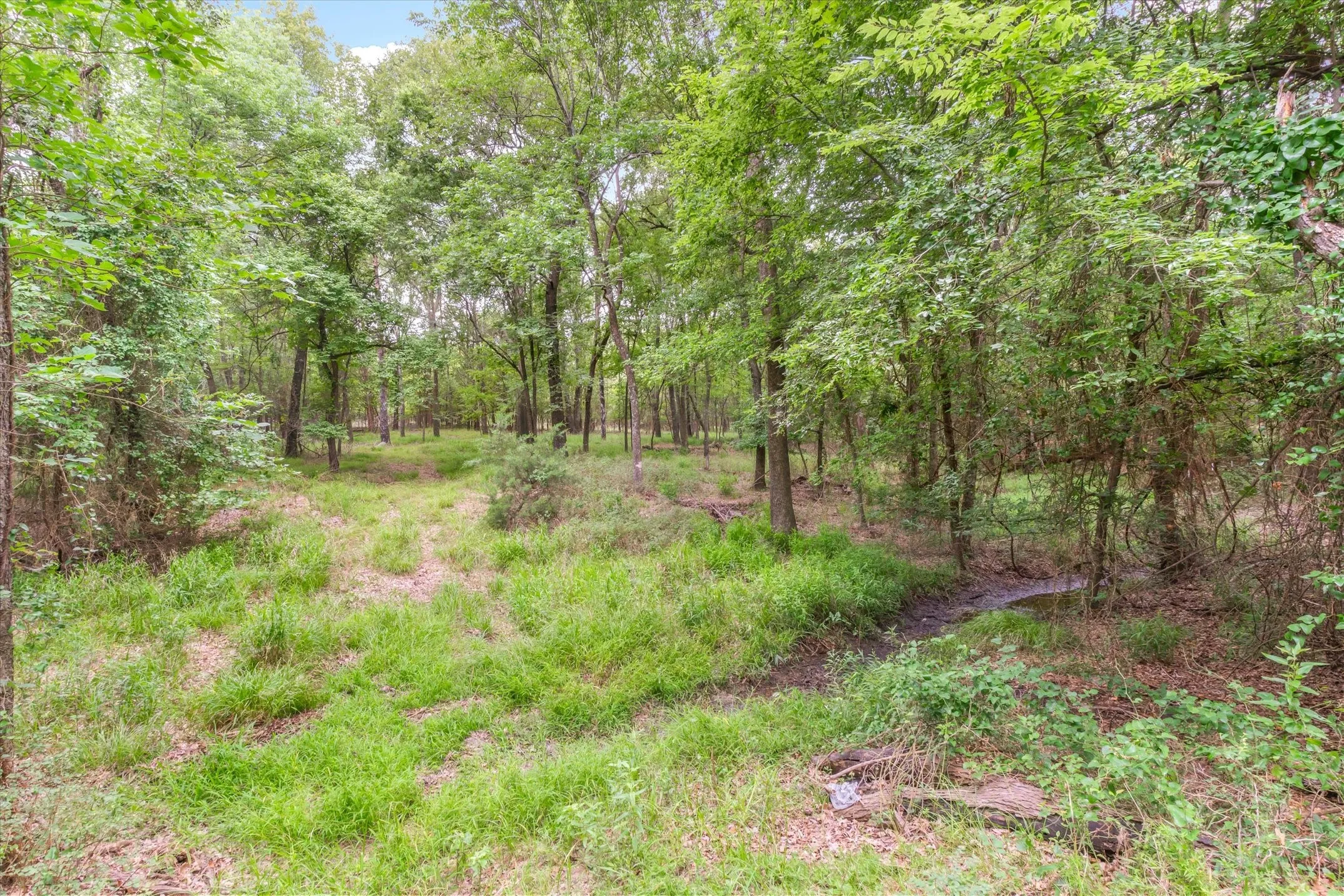 Manufactured Home For Sale in Hunt County , 9556 County Road 2400, Quinlan, Texas 75474, 3 Bedroom, 2 Bathroom, Garage spaces, 2,912 Sqft, built in 1999, Price $439,000, mls#21315744, Real Estate Agent in Quinlan, Homes For Sale in Hunt county, Homes For Sale in Quinlan, Realtor in Quinlan Texas, Real Estate Brokerage Independent Realty Texas, Luminita Cordes Realtor