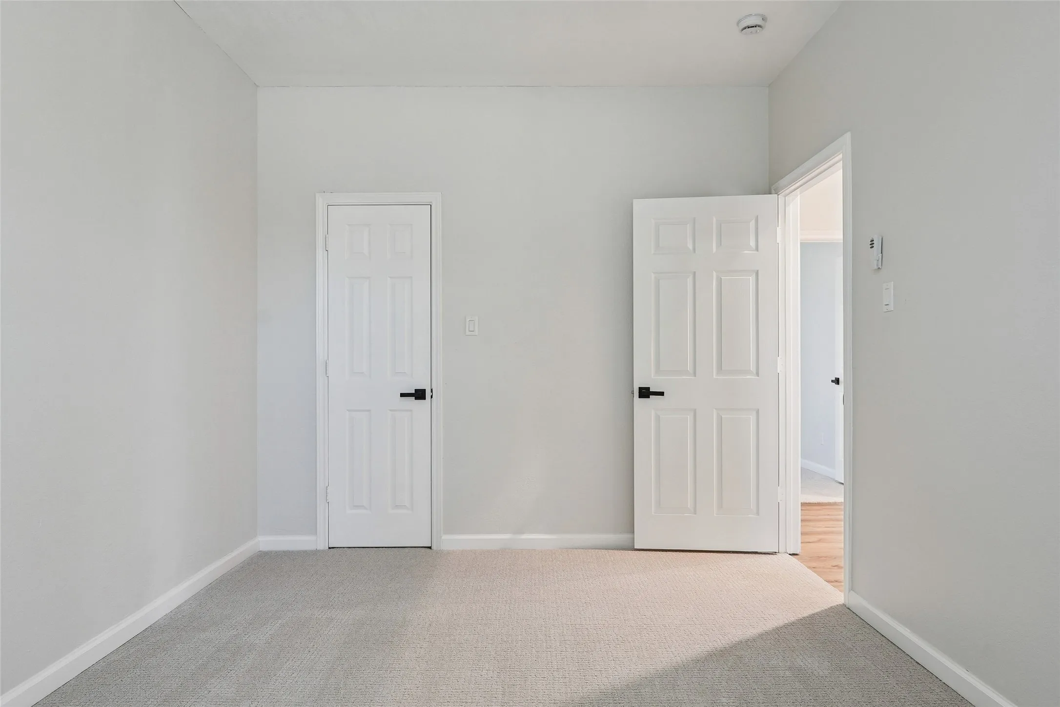 Neutral wall paint, plush carpet, white paneled doors, and black door hardware