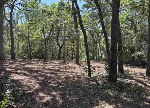 Unimproved Land For Sale in Smith County , 514 Dogwood Lane, Hideaway, Texas 75771, 0, 0, Garage spaces, 0 Sqft, built in 0, mls#21316323, Real Estate Agent in Hideaway, Homes For Sale in Smith county, Homes For Sale in Hideaway, Realtor in Hideaway Texas, Real Estate Brokerage Independent Realty Texas, Luminita Cordes Realtor