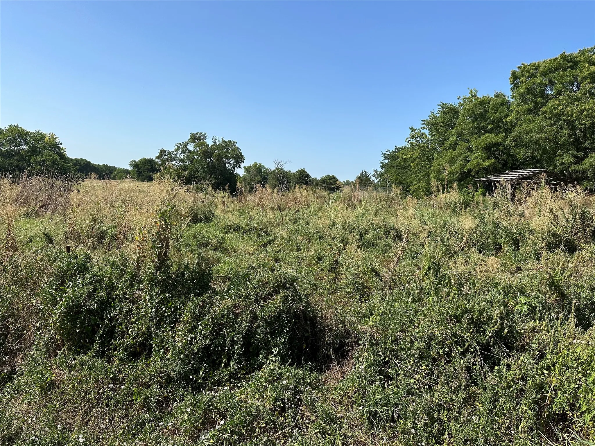 Unimproved Land For Sale in Grayson County , Lot 1 Cedar Road, Sherman, Texas 75090, 0, 0, Garage spaces, 0 Sqft, built in 0, Price $139,000, mls#21316355, Real Estate Agent in Sherman, Homes For Sale in Grayson county, Homes For Sale in Sherman, Realtor in Sherman Texas, Real Estate Brokerage Independent Realty Texas, Luminita Cordes Realtor