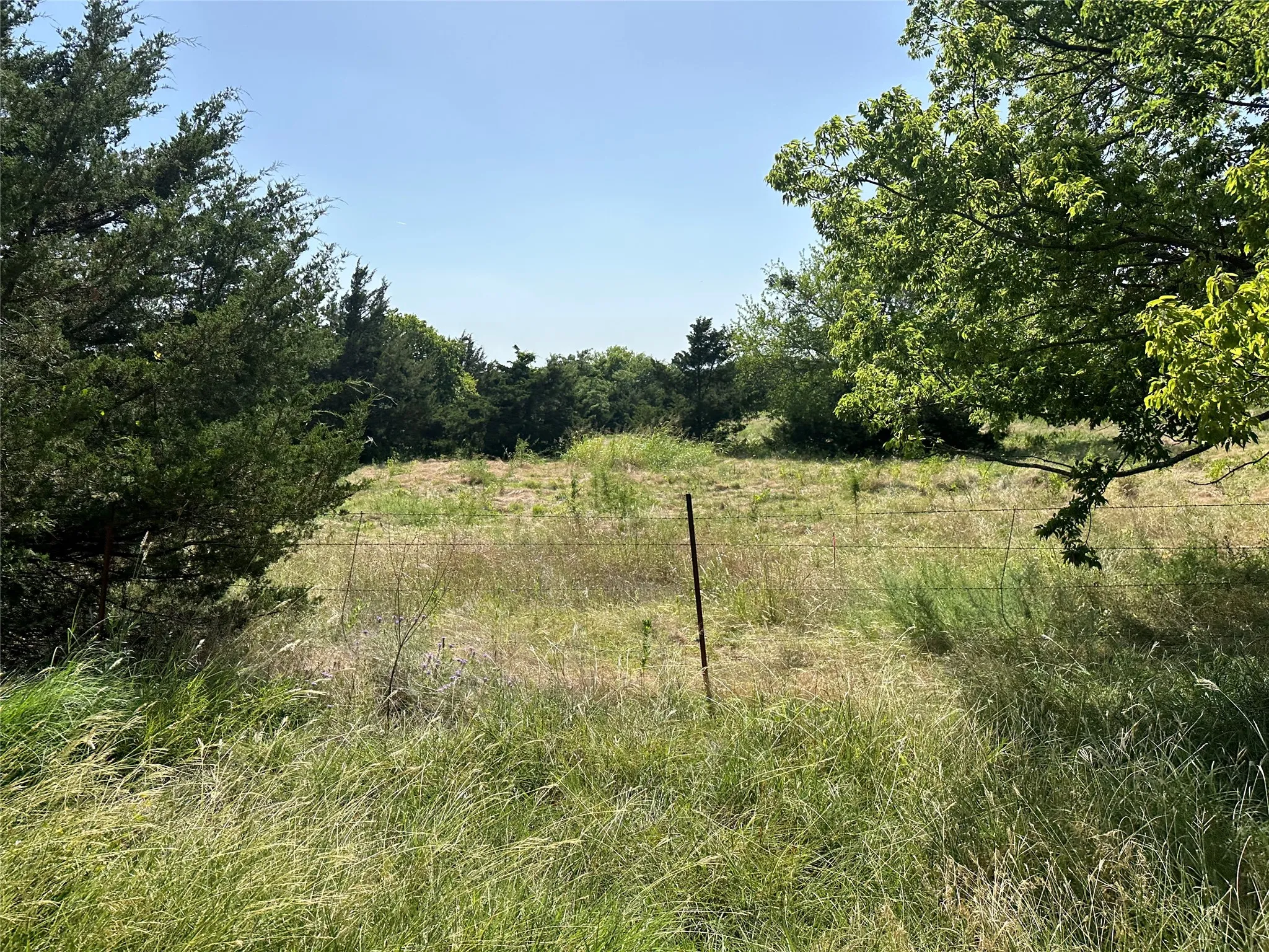 Unimproved Land For Sale in Grayson County , Lot 1 Cedar Road, Sherman, Texas 75090, 0, 0, Garage spaces, 0 Sqft, built in 0, Price $139,000, mls#21316355, Real Estate Agent in Sherman, Homes For Sale in Grayson county, Homes For Sale in Sherman, Realtor in Sherman Texas, Real Estate Brokerage Independent Realty Texas, Luminita Cordes Realtor