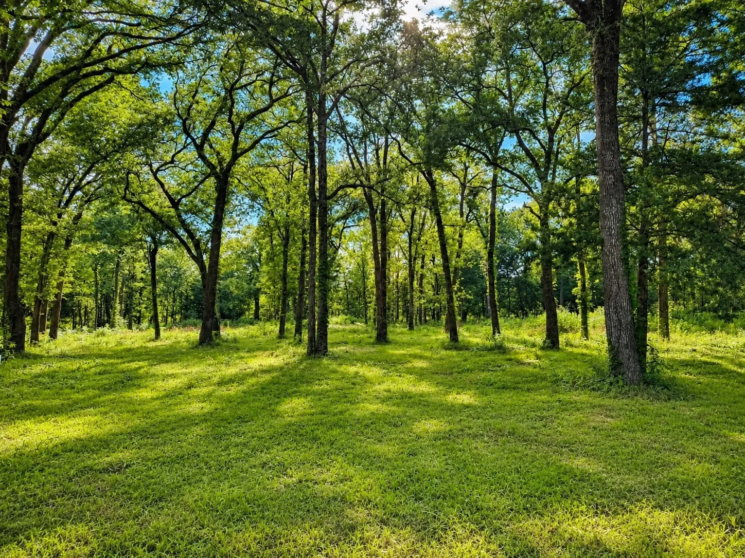 Tons of deer and critters litter the scenery