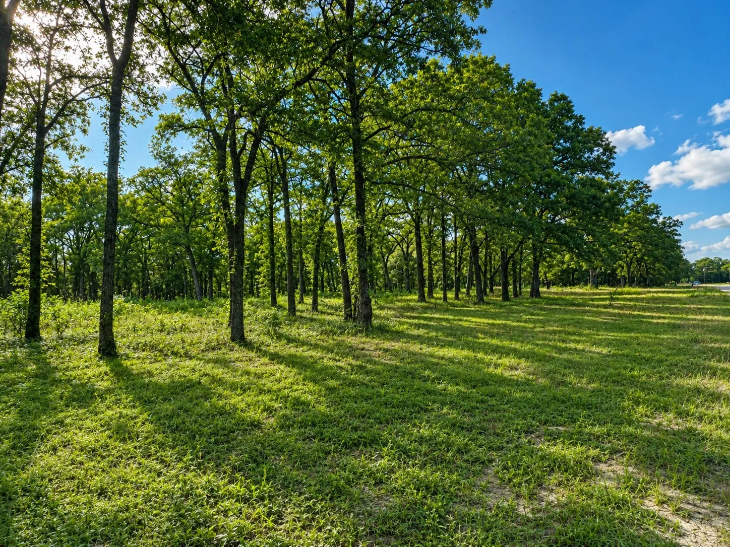 Perfect spot for your barndominium or home