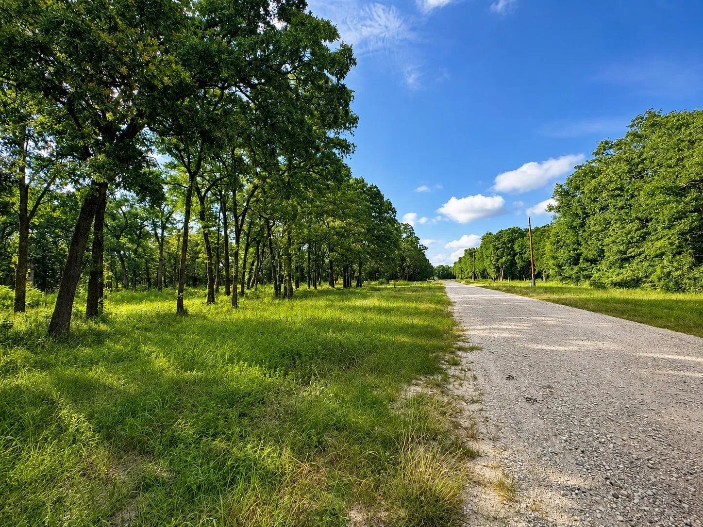 Good, hard surface road for easy access