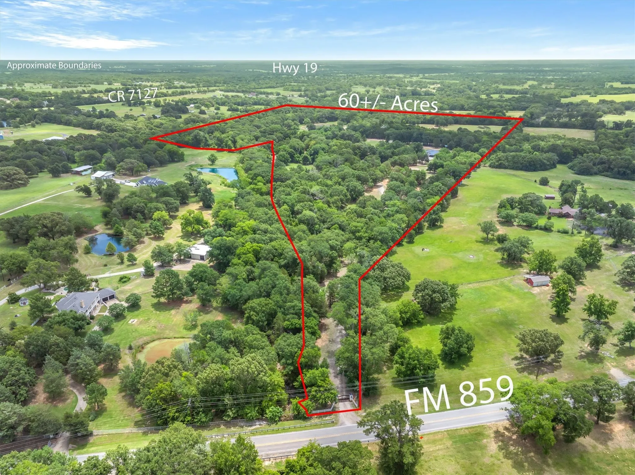 Single Family Residence For Sale in Van Zandt County , 12365 Fm 859, Wills Point, Texas 75169, 6 Bedrooms, 7 Bathrooms, 3 Garage spaces, 6,538 Sqft, built in 2022, Price $4,500,000, mls#21316377, Real Estate Agent in Wills Point, Homes For Sale in Van Zandt county, Homes For Sale in Wills Point, Realtor in Wills Point Texas, Real Estate Brokerage Independent Realty Texas, Luminita Cordes Realtor