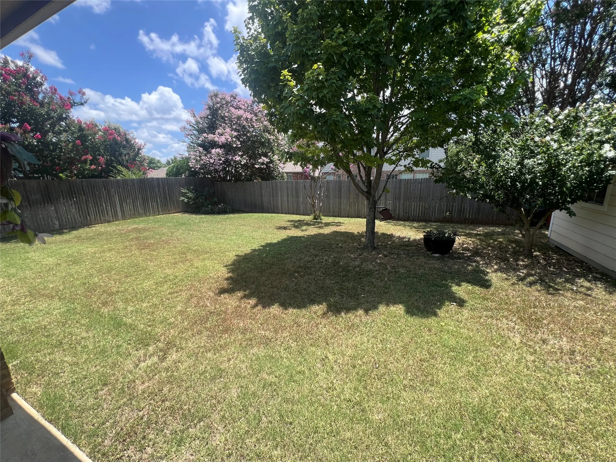Expansive backyard featuring a wood privacy fence and established trees