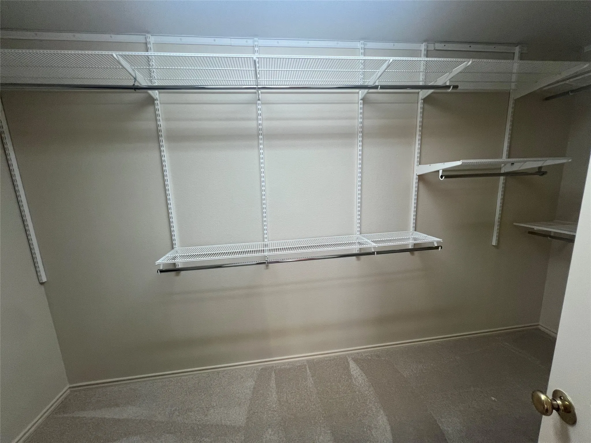 Carpeted flooring with white wire shelving, multiple hanging rods, and integrated wall tracks