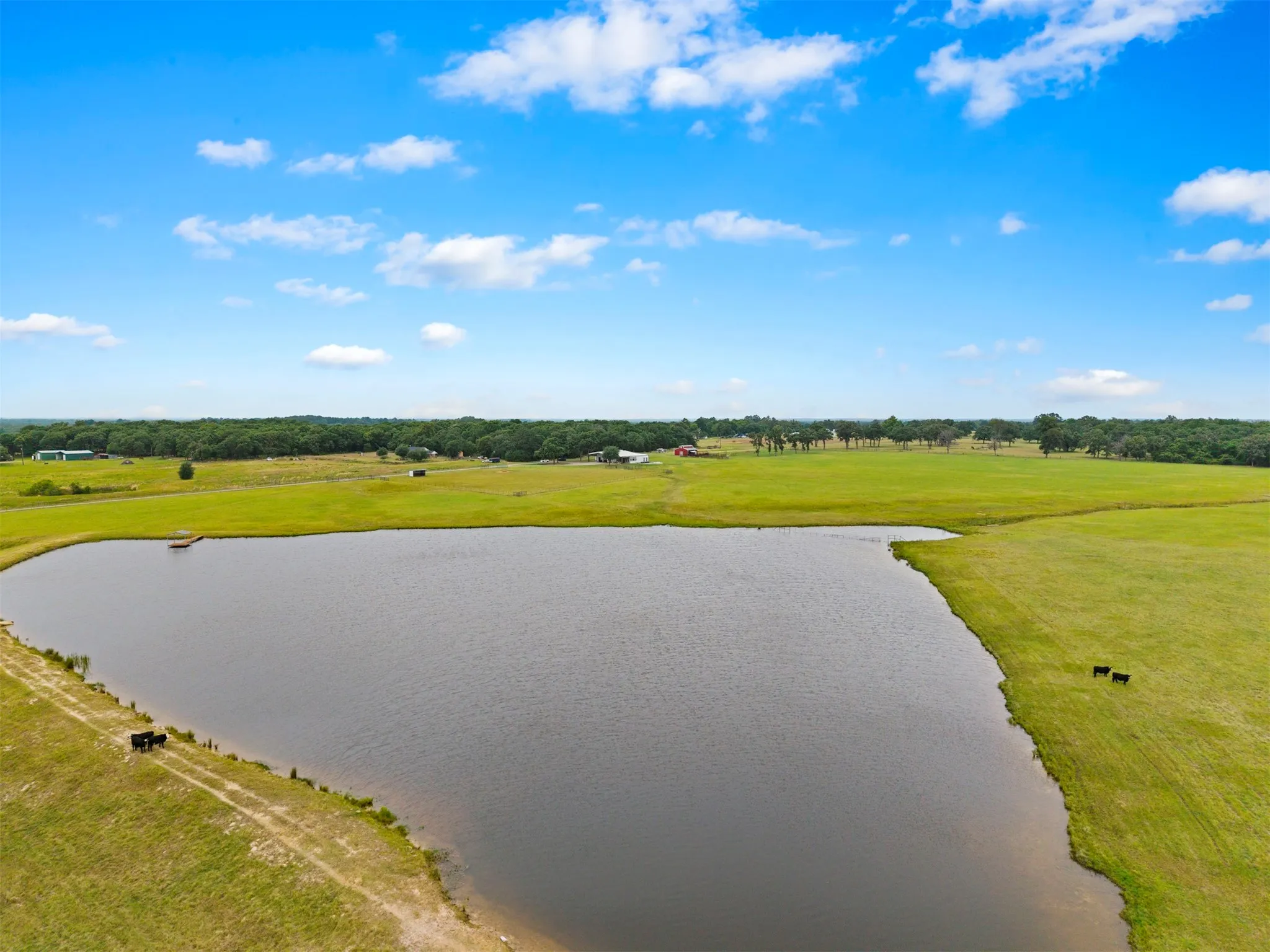 Expansive property featuring a substantial pond, surrounding green pastures, and distant treelines