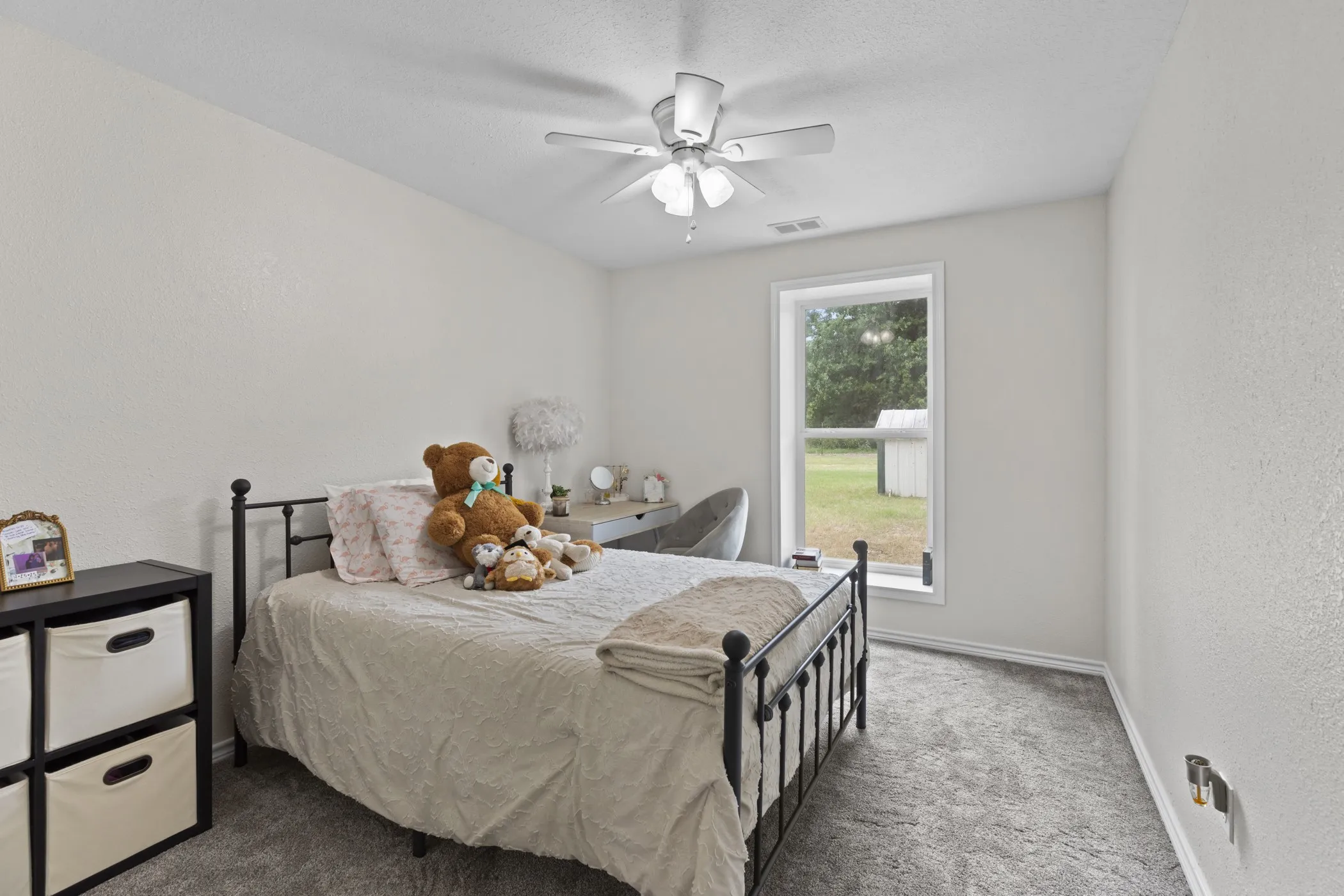 Carpeted room with a ceiling fan light fixture and a single window