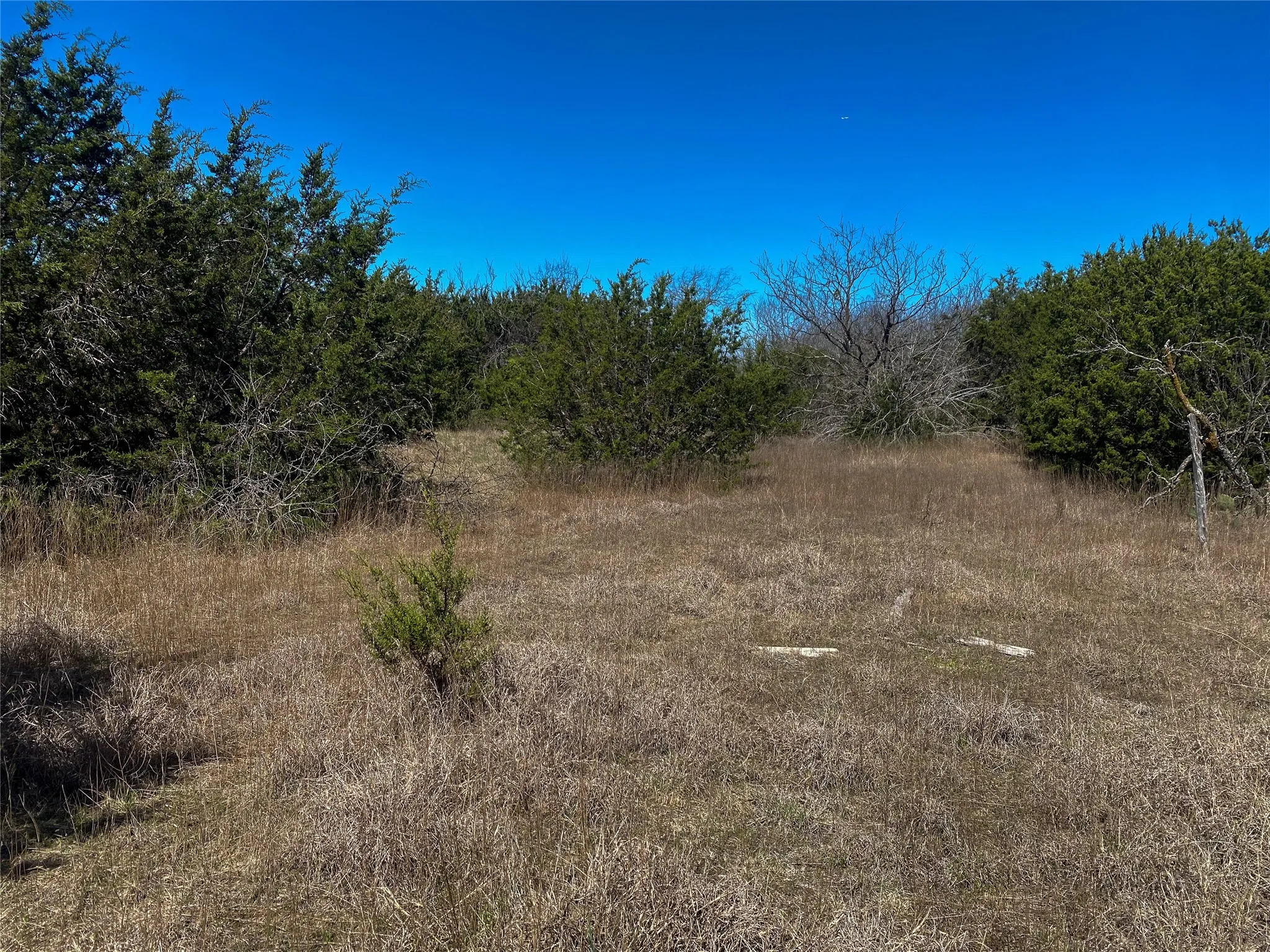 Improved Land For Sale in Johnson County , 1700 Don Lee Road, Cleburne, Texas 76058, 0, 0, Garage spaces, 0 Sqft, built in 2003, mls#21316290, Real Estate Agent in Cleburne, Homes For Sale in Johnson county, Homes For Sale in Cleburne, Realtor in Cleburne Texas, Real Estate Brokerage Independent Realty Texas, Luminita Cordes Realtor
