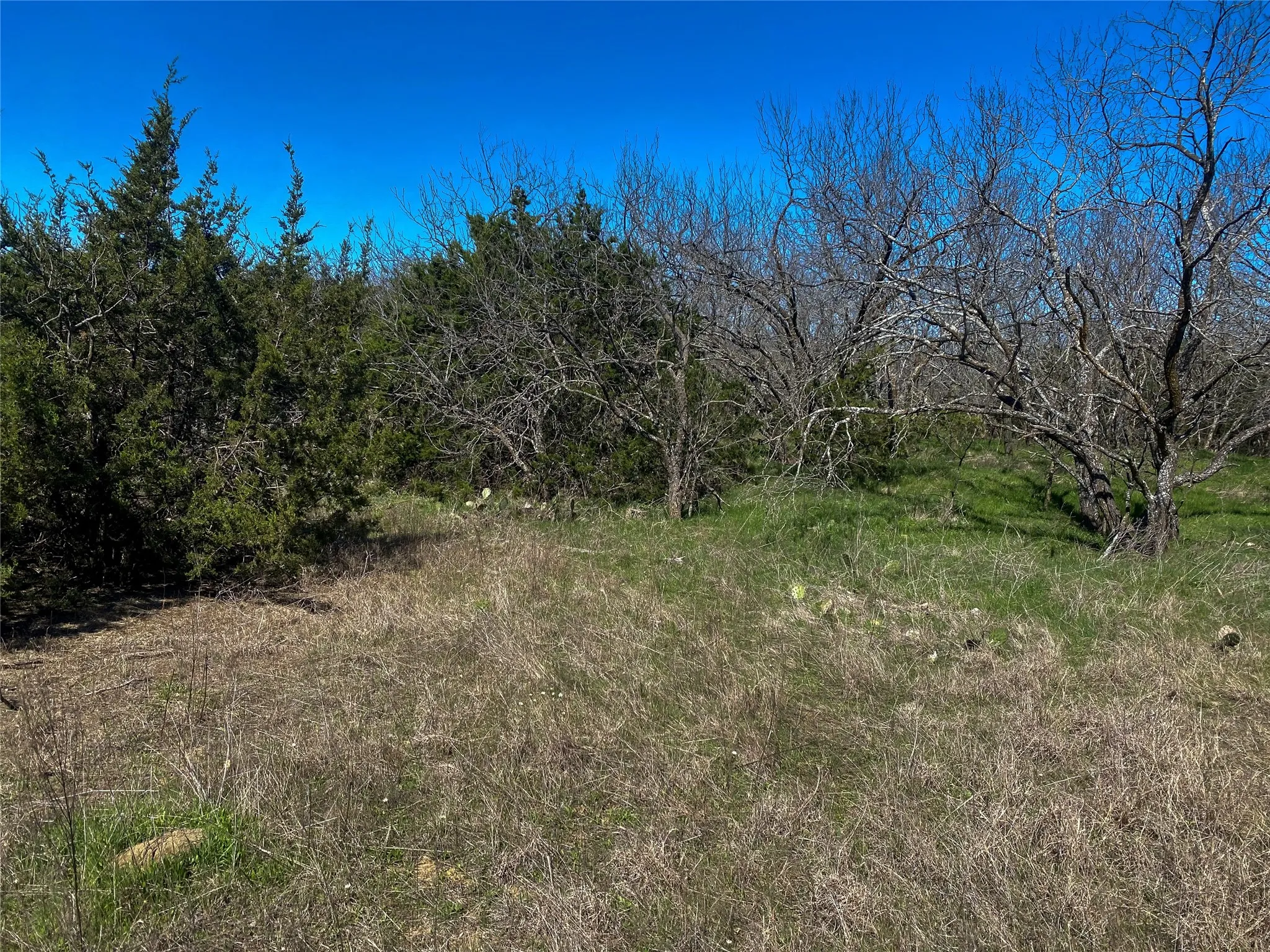 Improved Land For Sale in Johnson County , 1700 Don Lee Road, Cleburne, Texas 76058, 0, 0, Garage spaces, 0 Sqft, built in 2003, mls#21316290, Real Estate Agent in Cleburne, Homes For Sale in Johnson county, Homes For Sale in Cleburne, Realtor in Cleburne Texas, Real Estate Brokerage Independent Realty Texas, Luminita Cordes Realtor