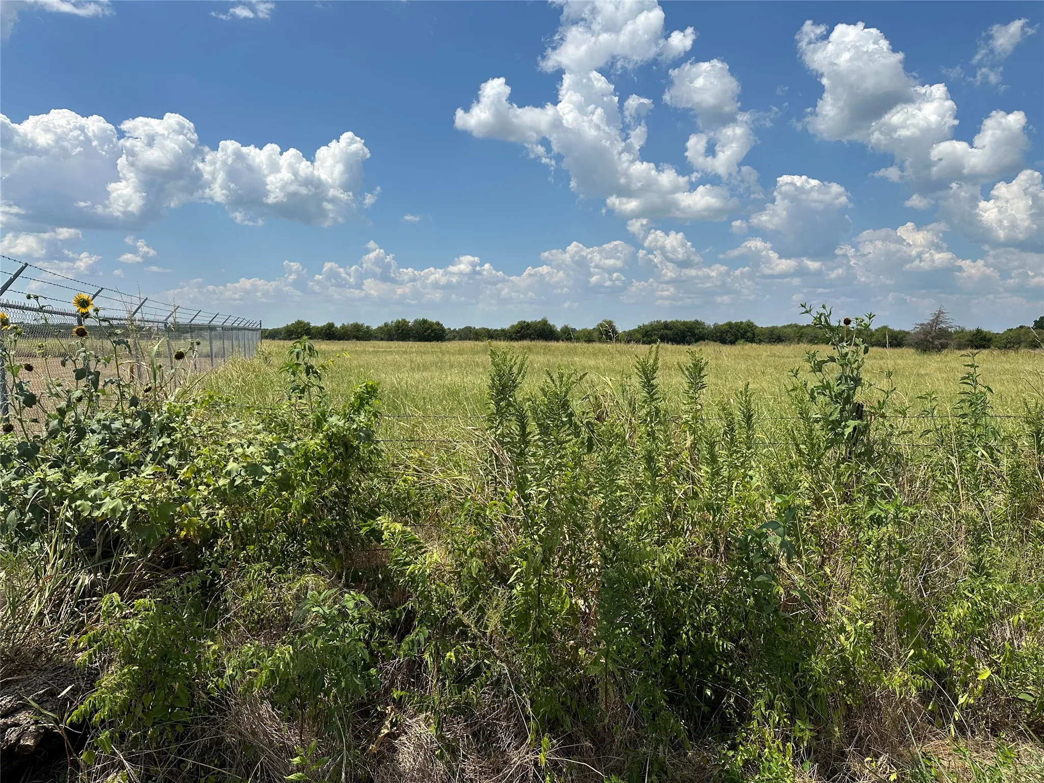 Unimproved Land For Sale in Grayson County , Lot 3 Rutledge Road, Whitewright, Texas 75491, 0, 0, Garage spaces, 0 Sqft, built in 0, Price $88,000, mls#21316406, Real Estate Agent in Whitewright, Homes For Sale in Grayson county, Homes For Sale in Whitewright, Realtor in Whitewright Texas, Real Estate Brokerage Independent Realty Texas, Luminita Cordes Realtor