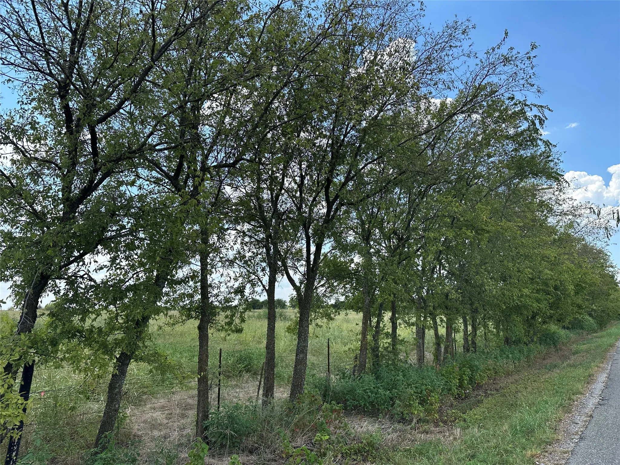 Unimproved Land For Sale in Grayson County , Lot 3 Rutledge Road, Whitewright, Texas 75491, 0, 0, Garage spaces, 0 Sqft, built in 0, Price $88,000, mls#21316406, Real Estate Agent in Whitewright, Homes For Sale in Grayson county, Homes For Sale in Whitewright, Realtor in Whitewright Texas, Real Estate Brokerage Independent Realty Texas, Luminita Cordes Realtor