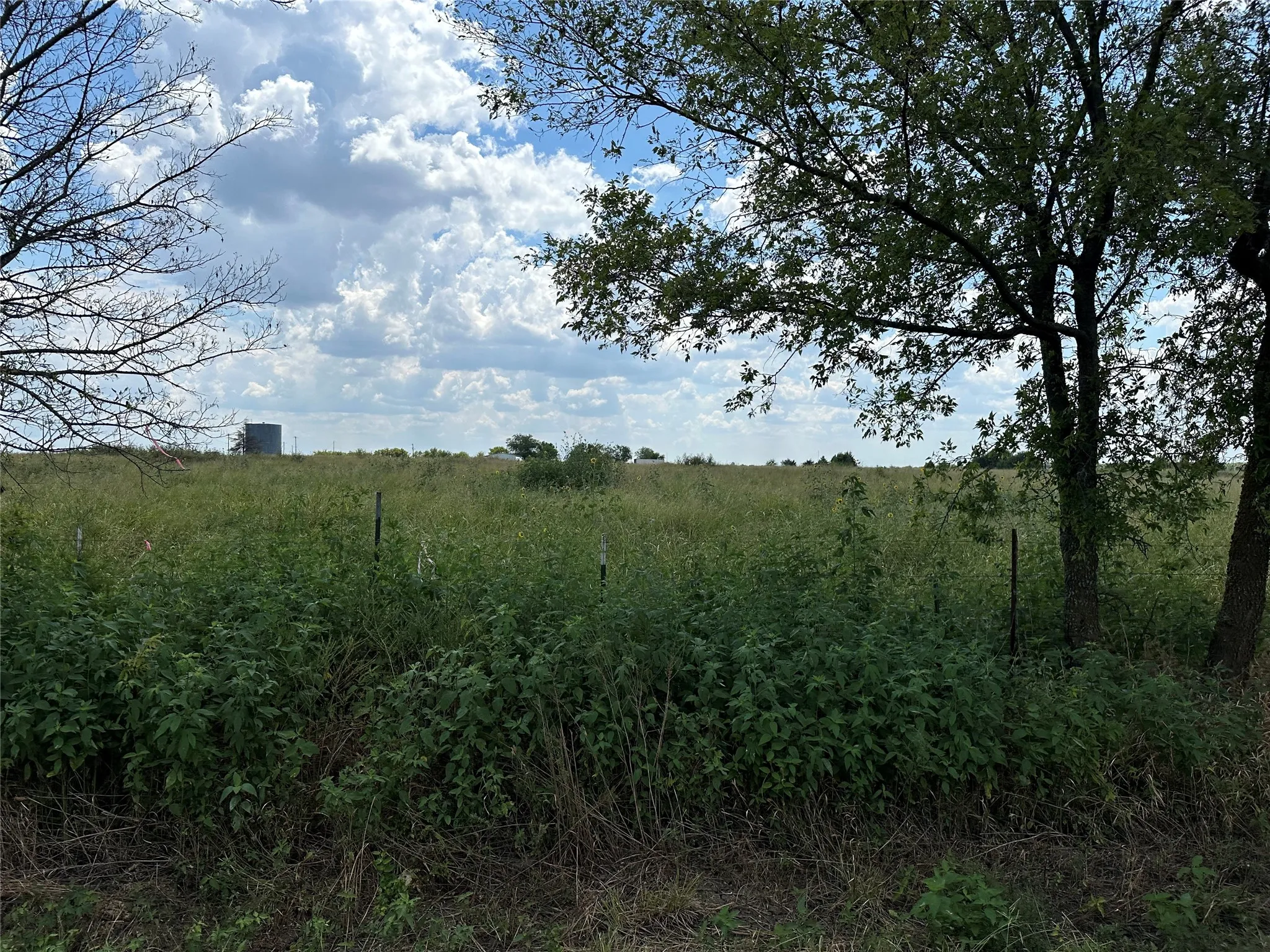 Unimproved Land For Sale in Grayson County , Lot 3 Rutledge Road, Whitewright, Texas 75491, 0, 0, Garage spaces, 0 Sqft, built in 0, Price $88,000, mls#21316406, Real Estate Agent in Whitewright, Homes For Sale in Grayson county, Homes For Sale in Whitewright, Realtor in Whitewright Texas, Real Estate Brokerage Independent Realty Texas, Luminita Cordes Realtor
