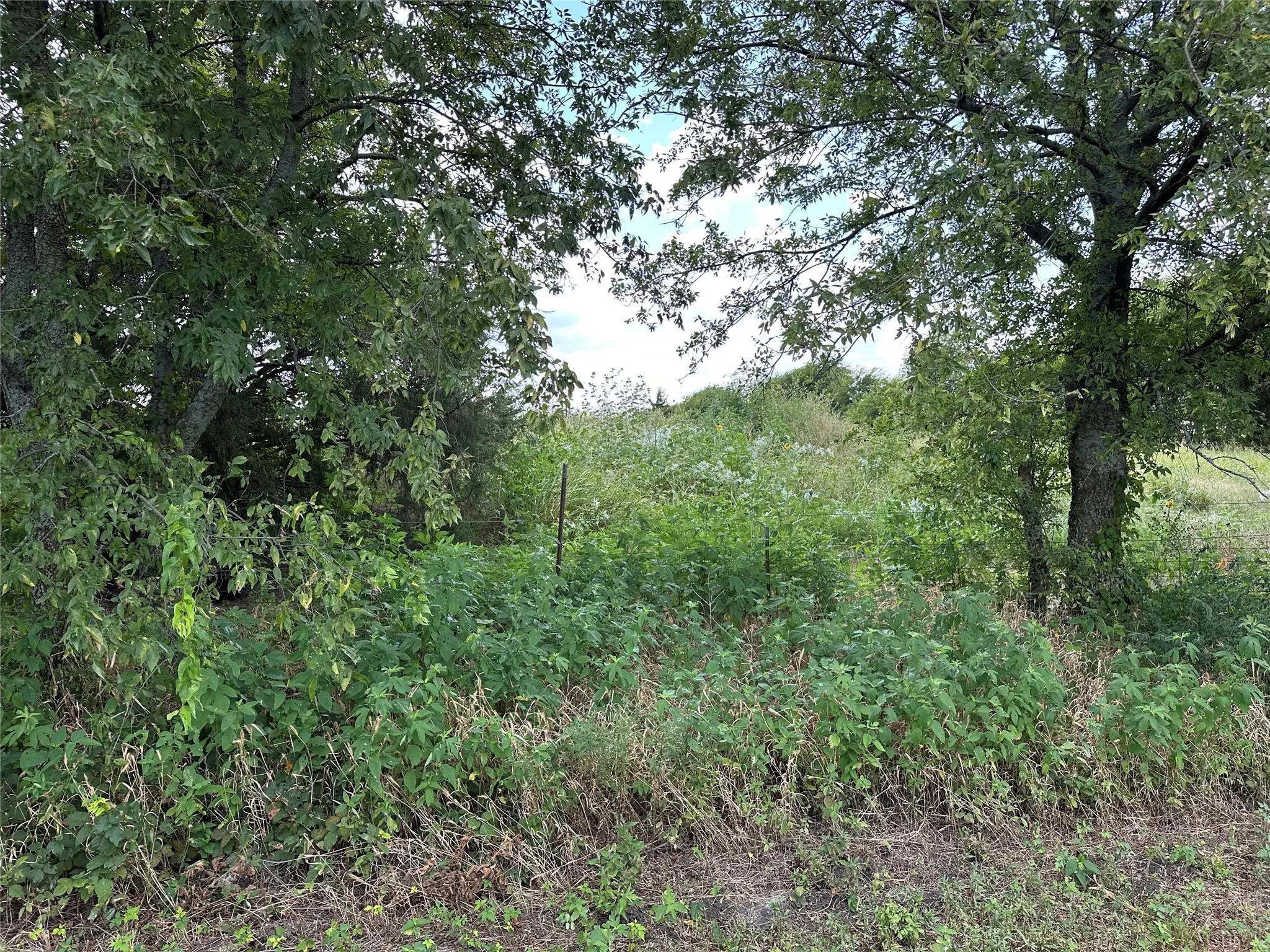 Unimproved Land For Sale in Grayson County , Lot 3 Rutledge Road, Whitewright, Texas 75491, 0, 0, Garage spaces, 0 Sqft, built in 0, Price $88,000, mls#21316406, Real Estate Agent in Whitewright, Homes For Sale in Grayson county, Homes For Sale in Whitewright, Realtor in Whitewright Texas, Real Estate Brokerage Independent Realty Texas, Luminita Cordes Realtor