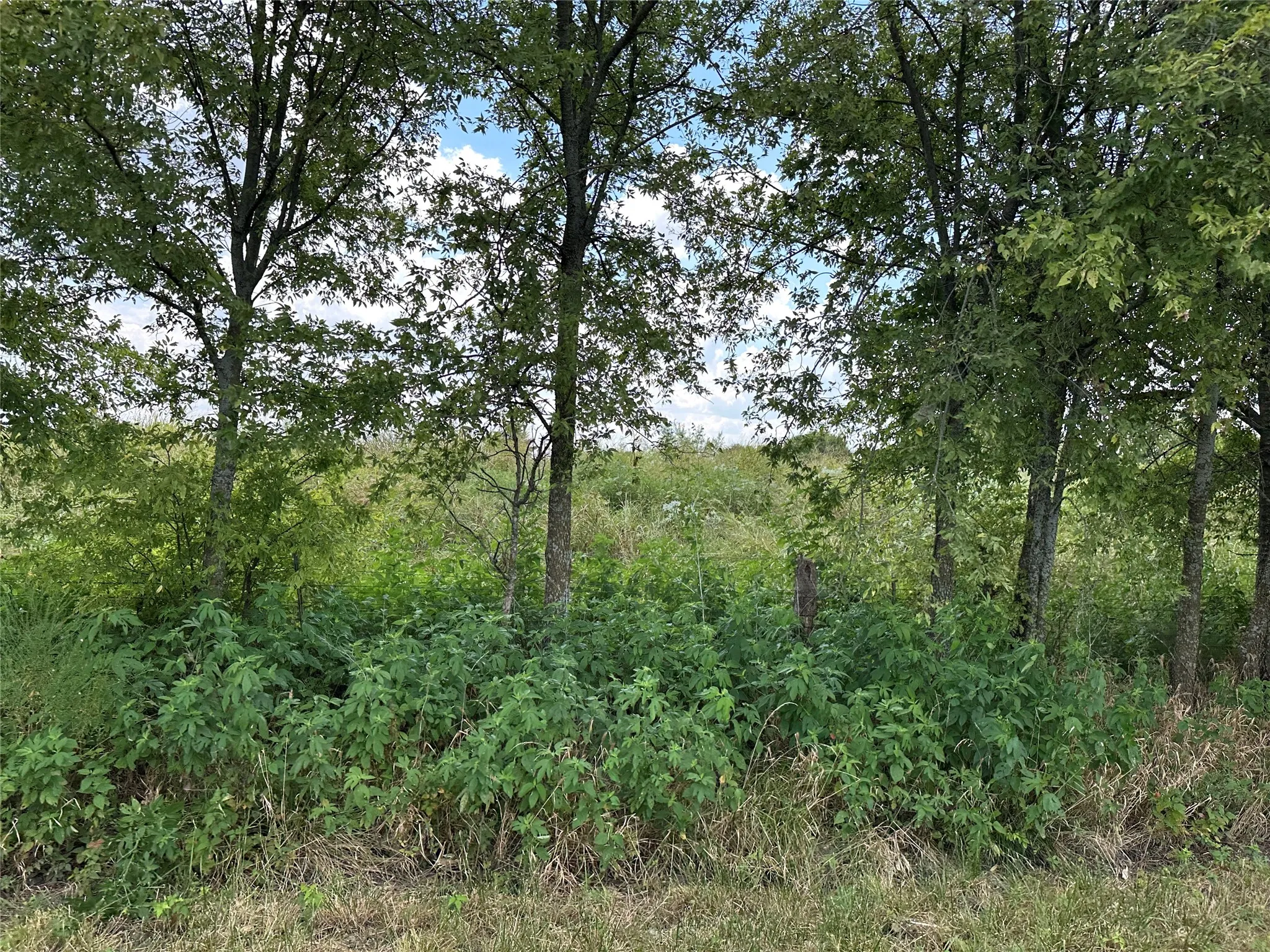 Unimproved Land For Sale in Grayson County , Lot 3 Rutledge Road, Whitewright, Texas 75491, 0, 0, Garage spaces, 0 Sqft, built in 0, Price $88,000, mls#21316406, Real Estate Agent in Whitewright, Homes For Sale in Grayson county, Homes For Sale in Whitewright, Realtor in Whitewright Texas, Real Estate Brokerage Independent Realty Texas, Luminita Cordes Realtor