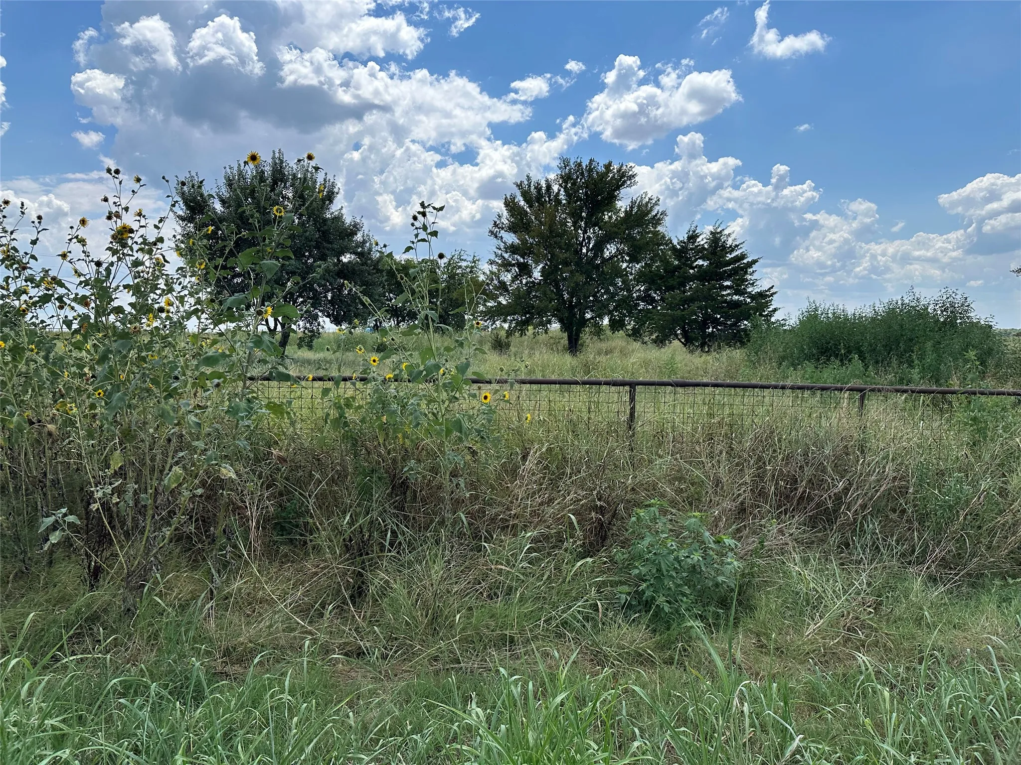 Unimproved Land For Sale in Grayson County , Lot 6 Rutledge Road, Whitewright, Texas 75491, 0, 0, Garage spaces, 0 Sqft, built in 0, Price $88,000, mls#21316419, Real Estate Agent in Whitewright, Homes For Sale in Grayson county, Homes For Sale in Whitewright, Realtor in Whitewright Texas, Real Estate Brokerage Independent Realty Texas, Luminita Cordes Realtor