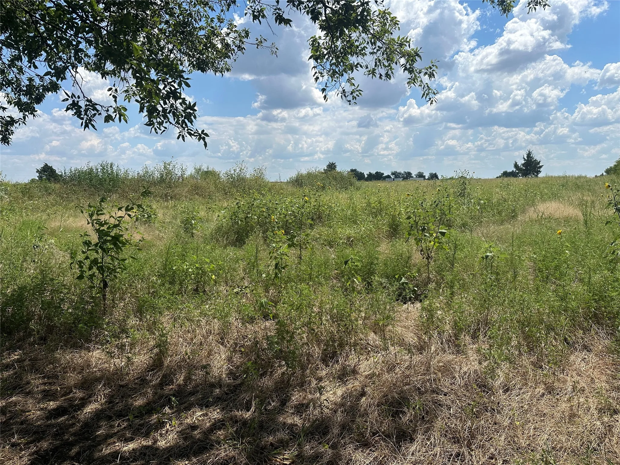 Unimproved Land For Sale in Grayson County , Lot 6 Rutledge Road, Whitewright, Texas 75491, 0, 0, Garage spaces, 0 Sqft, built in 0, Price $88,000, mls#21316419, Real Estate Agent in Whitewright, Homes For Sale in Grayson county, Homes For Sale in Whitewright, Realtor in Whitewright Texas, Real Estate Brokerage Independent Realty Texas, Luminita Cordes Realtor