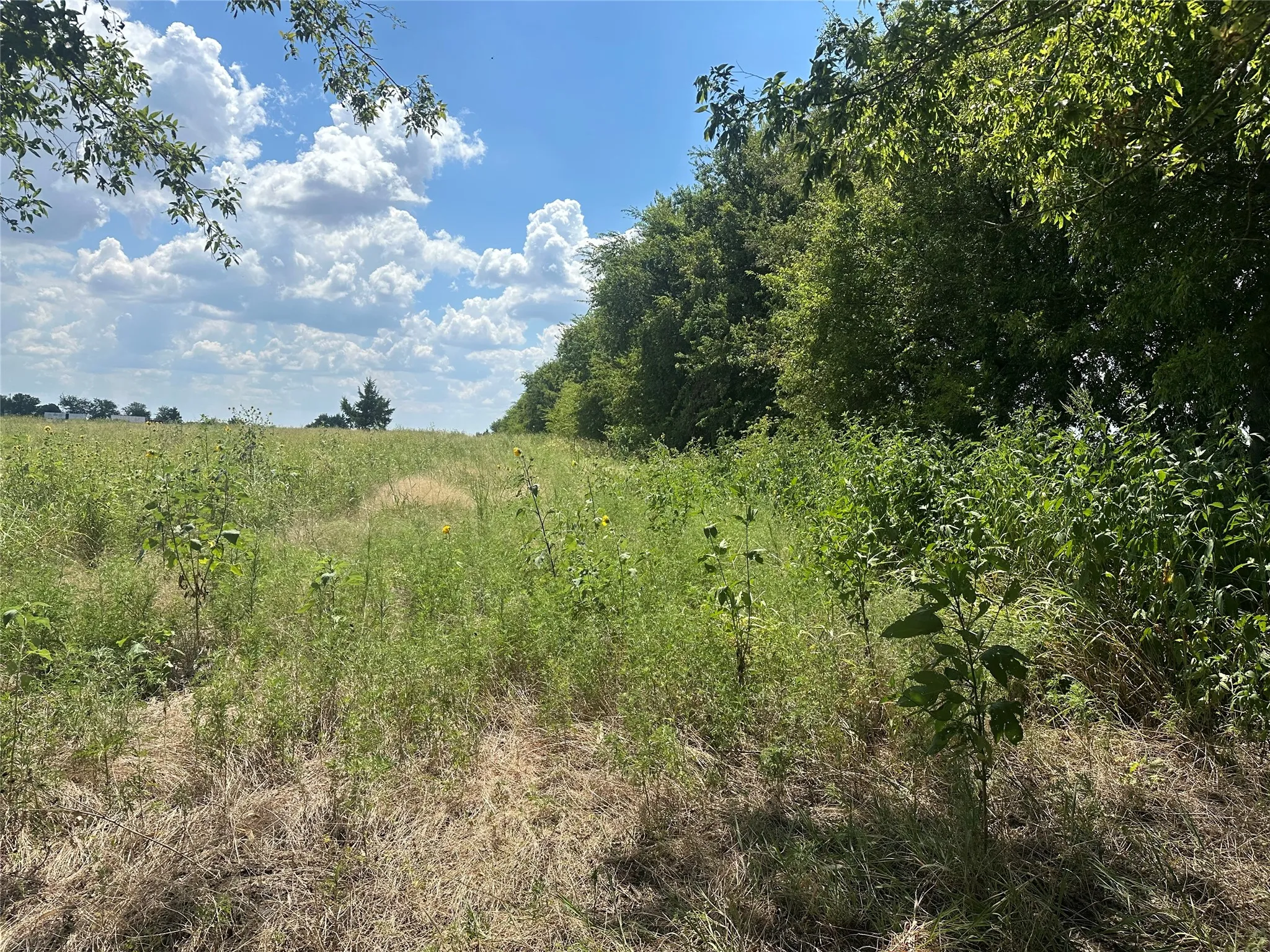 Unimproved Land For Sale in Grayson County , Lot 6 Rutledge Road, Whitewright, Texas 75491, 0, 0, Garage spaces, 0 Sqft, built in 0, Price $88,000, mls#21316419, Real Estate Agent in Whitewright, Homes For Sale in Grayson county, Homes For Sale in Whitewright, Realtor in Whitewright Texas, Real Estate Brokerage Independent Realty Texas, Luminita Cordes Realtor