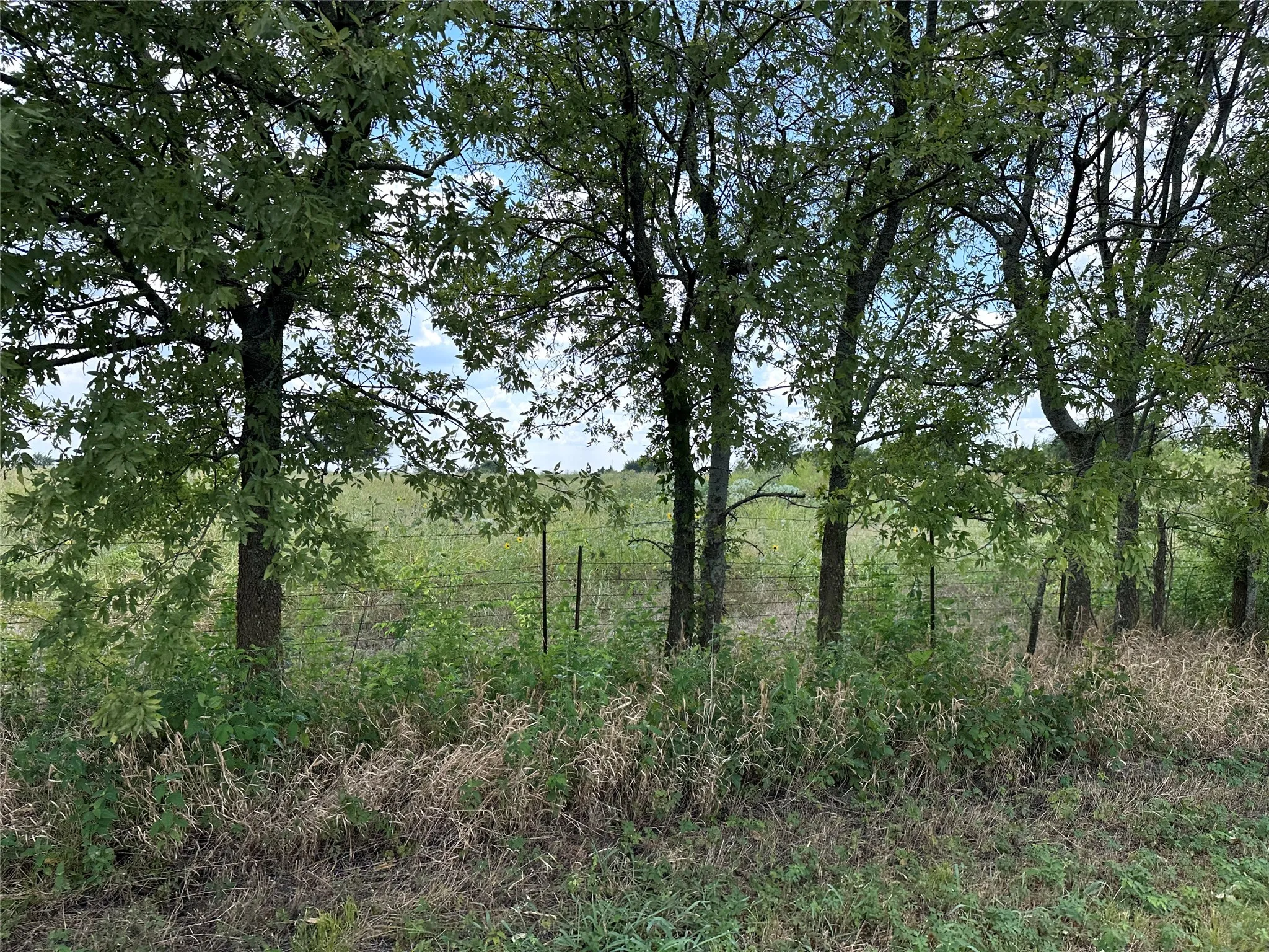Unimproved Land For Sale in Grayson County , Lot 6 Rutledge Road, Whitewright, Texas 75491, 0, 0, Garage spaces, 0 Sqft, built in 0, Price $88,000, mls#21316419, Real Estate Agent in Whitewright, Homes For Sale in Grayson county, Homes For Sale in Whitewright, Realtor in Whitewright Texas, Real Estate Brokerage Independent Realty Texas, Luminita Cordes Realtor