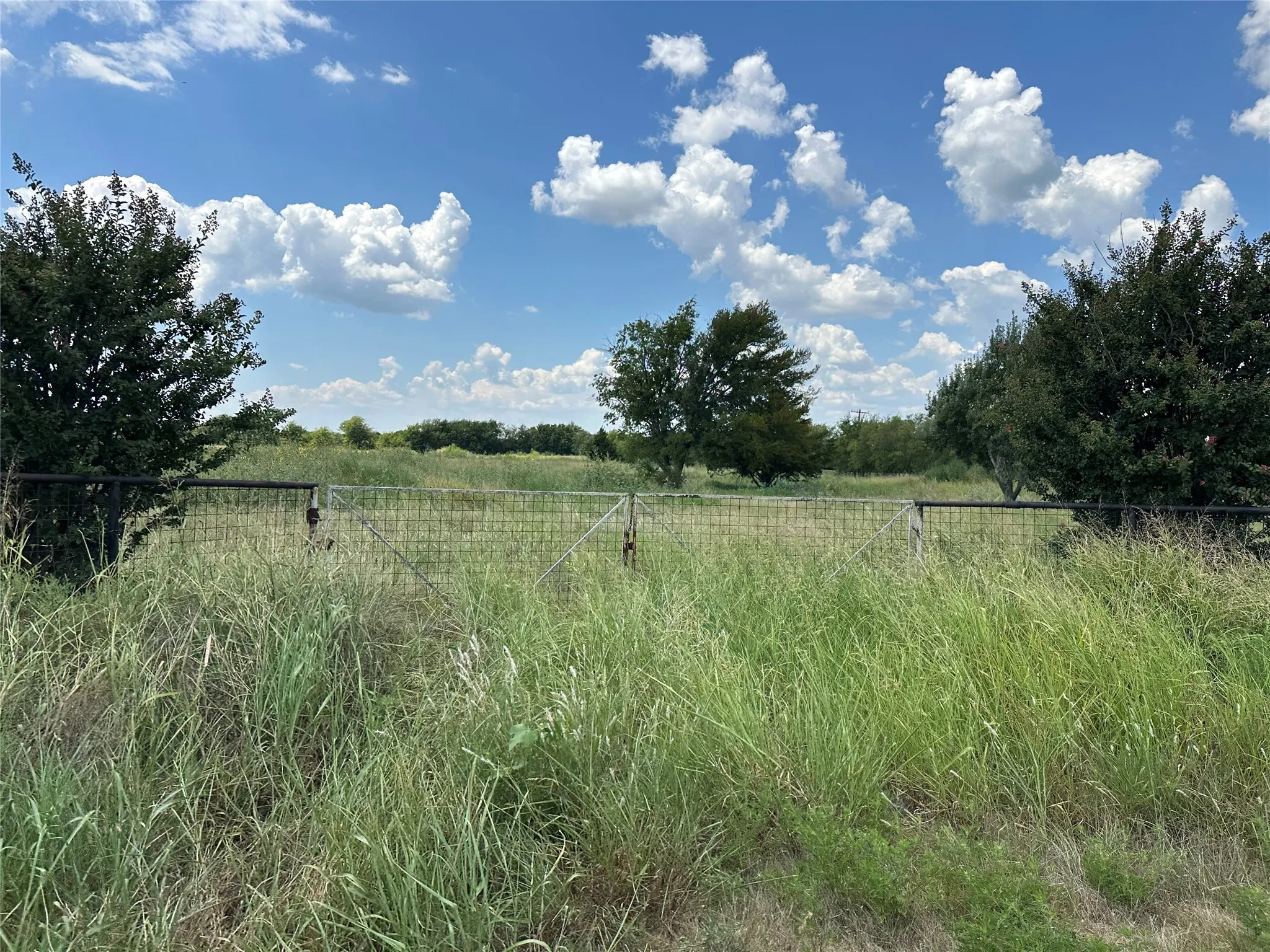 Unimproved Land For Sale in Grayson County , Lot 6 Rutledge Road, Whitewright, Texas 75491, 0, 0, Garage spaces, 0 Sqft, built in 0, Price $88,000, mls#21316419, Real Estate Agent in Whitewright, Homes For Sale in Grayson county, Homes For Sale in Whitewright, Realtor in Whitewright Texas, Real Estate Brokerage Independent Realty Texas, Luminita Cordes Realtor