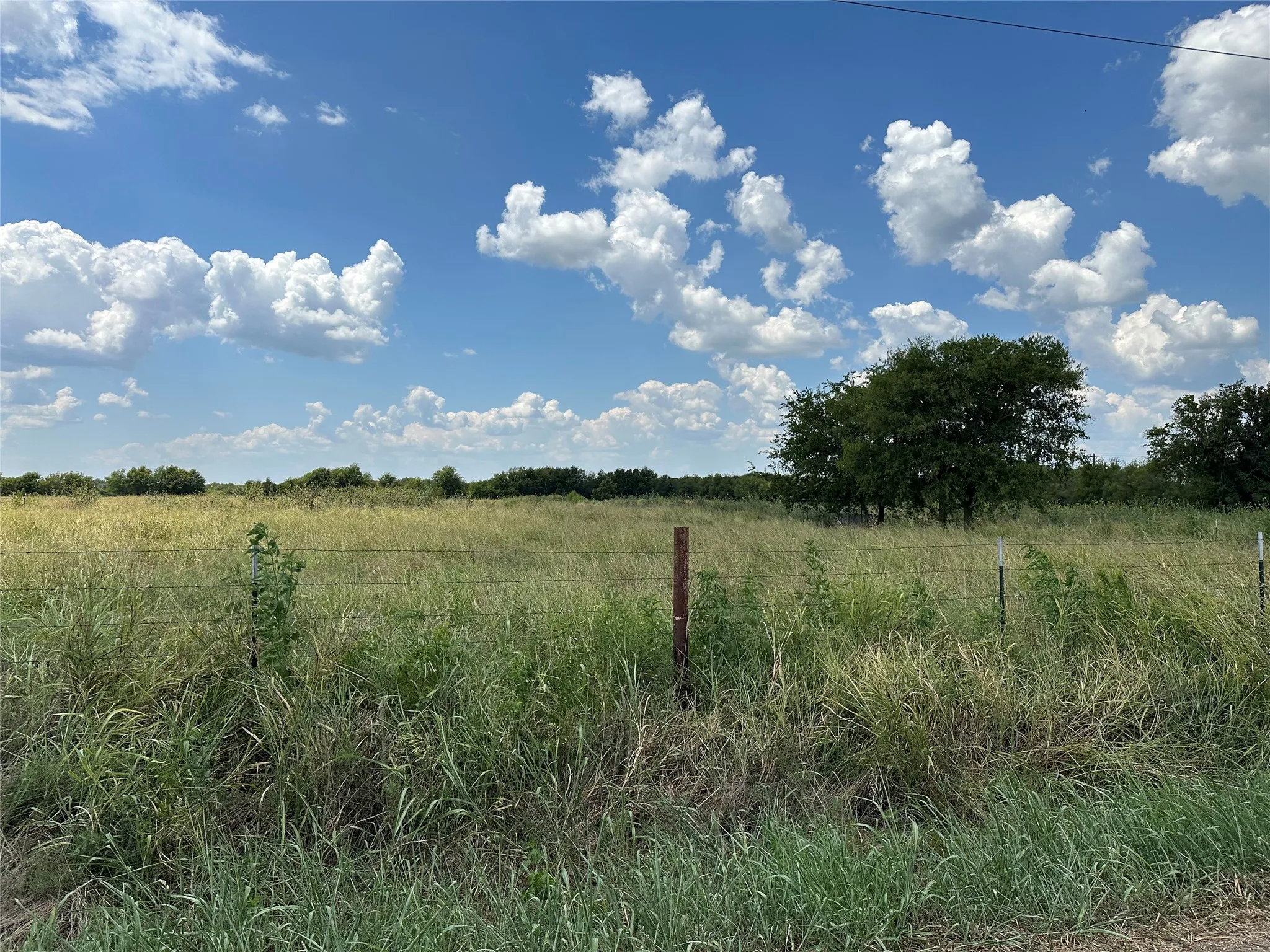 Unimproved Land For Sale in Grayson County , Lot 6 Rutledge Road, Whitewright, Texas 75491, 0, 0, Garage spaces, 0 Sqft, built in 0, Price $88,000, mls#21316419, Real Estate Agent in Whitewright, Homes For Sale in Grayson county, Homes For Sale in Whitewright, Realtor in Whitewright Texas, Real Estate Brokerage Independent Realty Texas, Luminita Cordes Realtor