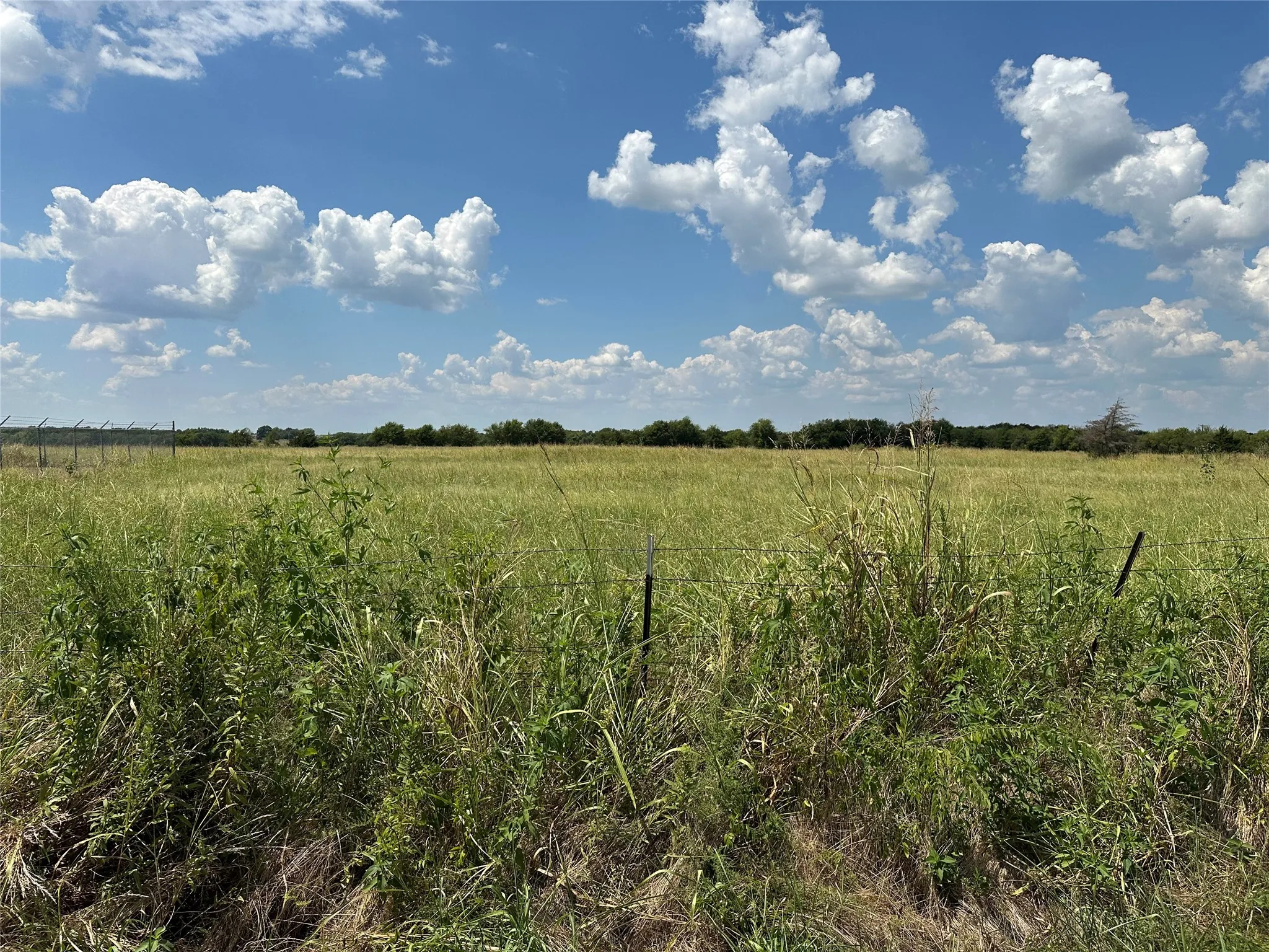 Unimproved Land For Sale in Grayson County , Lot 6 Rutledge Road, Whitewright, Texas 75491, 0, 0, Garage spaces, 0 Sqft, built in 0, Price $88,000, mls#21316419, Real Estate Agent in Whitewright, Homes For Sale in Grayson county, Homes For Sale in Whitewright, Realtor in Whitewright Texas, Real Estate Brokerage Independent Realty Texas, Luminita Cordes Realtor