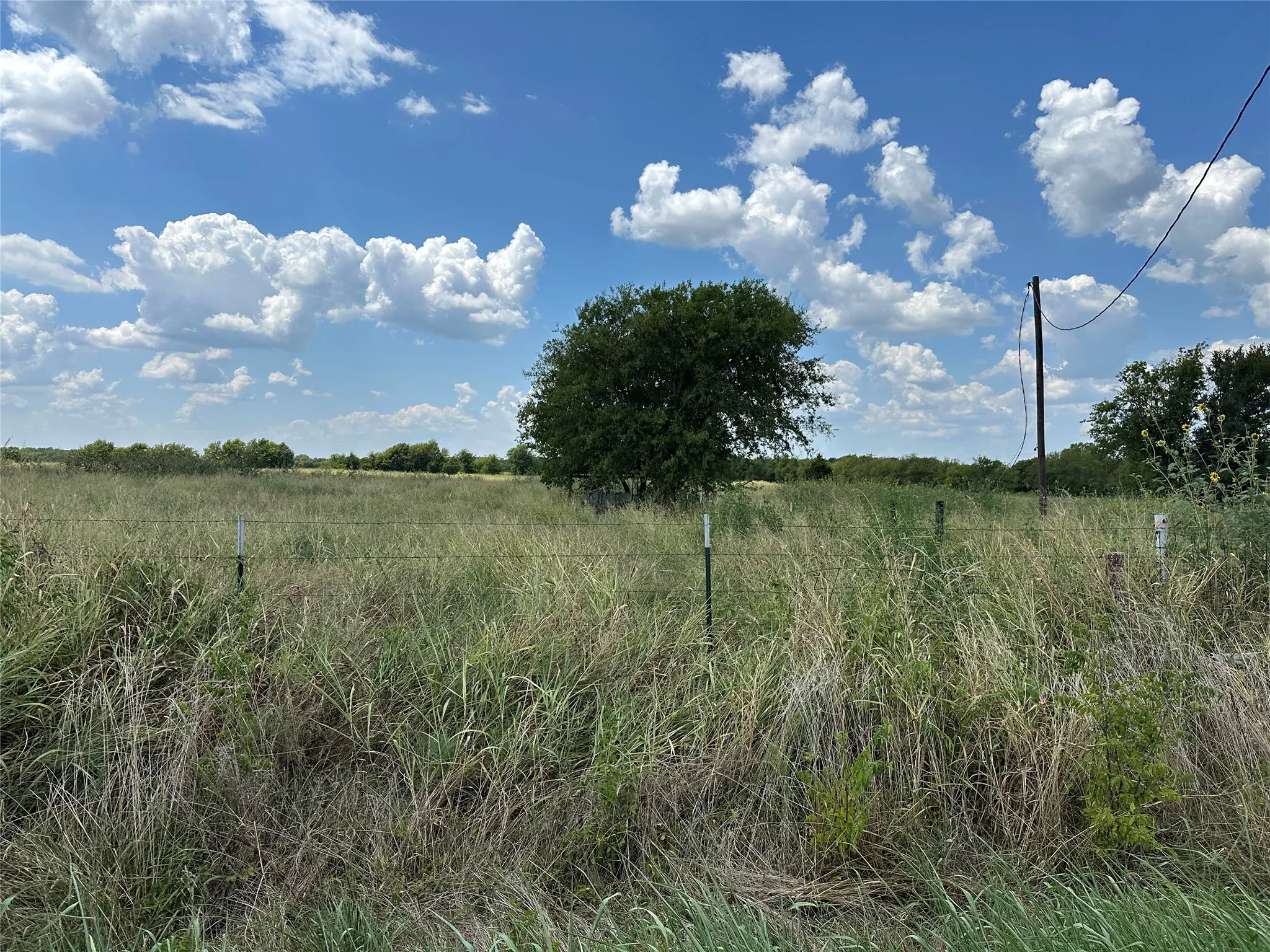 Unimproved Land For Sale in Grayson County , Lot 6 Rutledge Road, Whitewright, Texas 75491, 0, 0, Garage spaces, 0 Sqft, built in 0, Price $88,000, mls#21316419, Real Estate Agent in Whitewright, Homes For Sale in Grayson county, Homes For Sale in Whitewright, Realtor in Whitewright Texas, Real Estate Brokerage Independent Realty Texas, Luminita Cordes Realtor