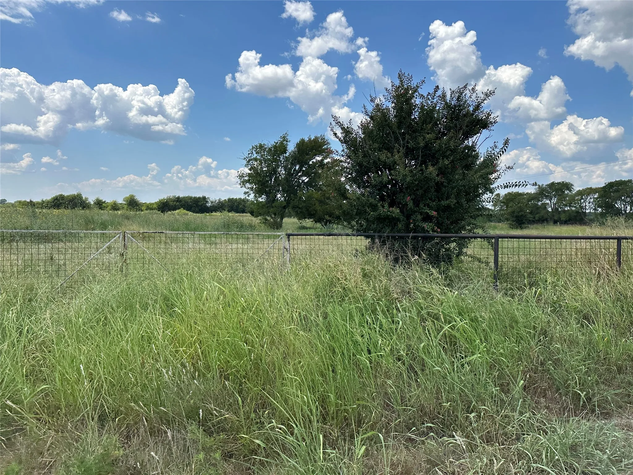 Unimproved Land For Sale in Grayson County , Lot 6 Rutledge Road, Whitewright, Texas 75491, 0, 0, Garage spaces, 0 Sqft, built in 0, Price $88,000, mls#21316419, Real Estate Agent in Whitewright, Homes For Sale in Grayson county, Homes For Sale in Whitewright, Realtor in Whitewright Texas, Real Estate Brokerage Independent Realty Texas, Luminita Cordes Realtor