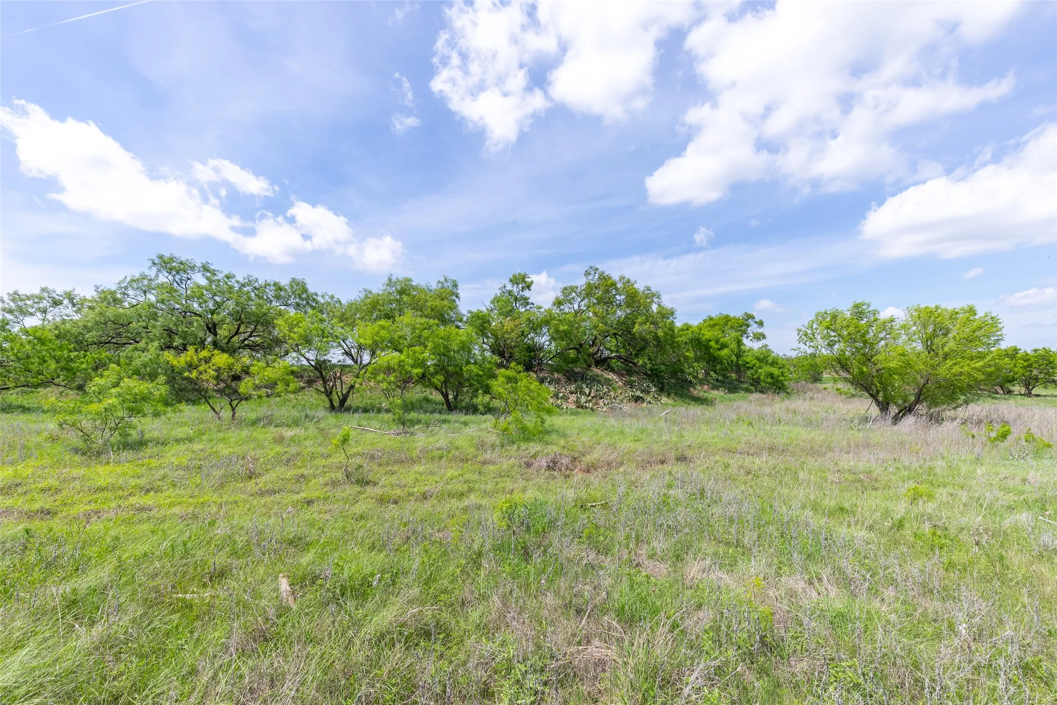 Unimproved Land For Sale in Taylor County , 7416B Highway 84, Lawn, Texas 79530, 0, 0, Garage spaces, 0 Sqft, built in 0, Price $469,900, mls#21316440, Real Estate Agent in Lawn, Homes For Sale in Taylor county, Homes For Sale in Lawn, Realtor in Lawn Texas, Real Estate Brokerage Independent Realty Texas, Luminita Cordes Realtor