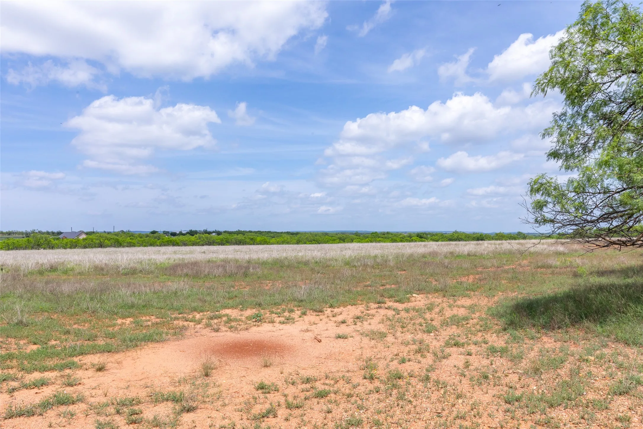 Unimproved Land For Sale in Taylor County , 7416B Highway 84, Lawn, Texas 79530, 0, 0, Garage spaces, 0 Sqft, built in 0, Price $469,900, mls#21316440, Real Estate Agent in Lawn, Homes For Sale in Taylor county, Homes For Sale in Lawn, Realtor in Lawn Texas, Real Estate Brokerage Independent Realty Texas, Luminita Cordes Realtor