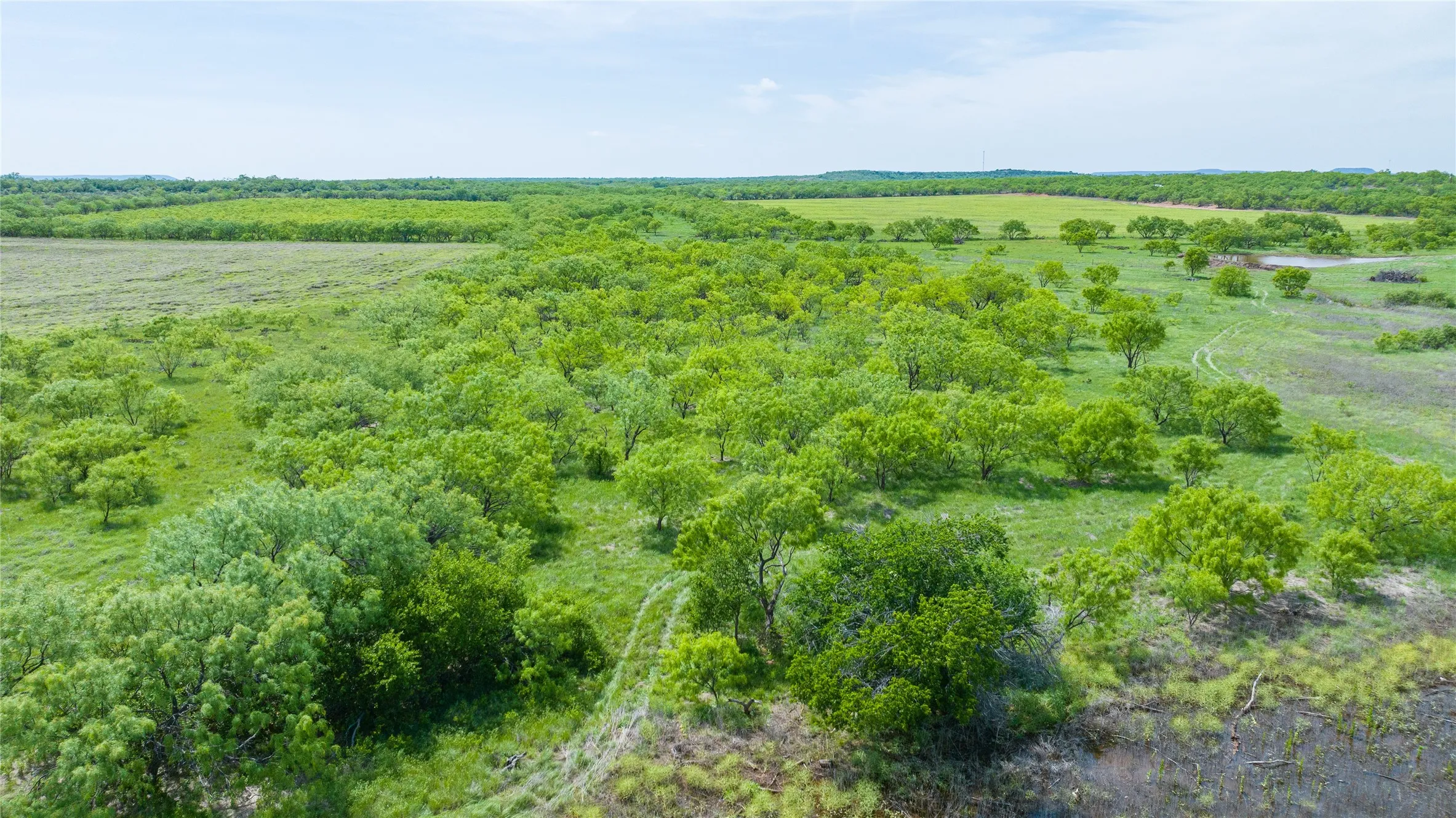 Unimproved Land For Sale in Taylor County , 7416B Highway 84, Lawn, Texas 79530, 0, 0, Garage spaces, 0 Sqft, built in 0, Price $469,900, mls#21316440, Real Estate Agent in Lawn, Homes For Sale in Taylor county, Homes For Sale in Lawn, Realtor in Lawn Texas, Real Estate Brokerage Independent Realty Texas, Luminita Cordes Realtor