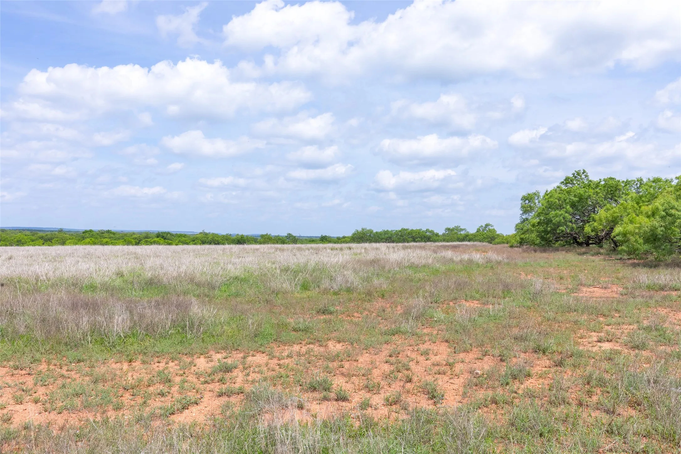 Unimproved Land For Sale in Taylor County , 7416B Highway 84, Lawn, Texas 79530, 0, 0, Garage spaces, 0 Sqft, built in 0, Price $469,900, mls#21316440, Real Estate Agent in Lawn, Homes For Sale in Taylor county, Homes For Sale in Lawn, Realtor in Lawn Texas, Real Estate Brokerage Independent Realty Texas, Luminita Cordes Realtor