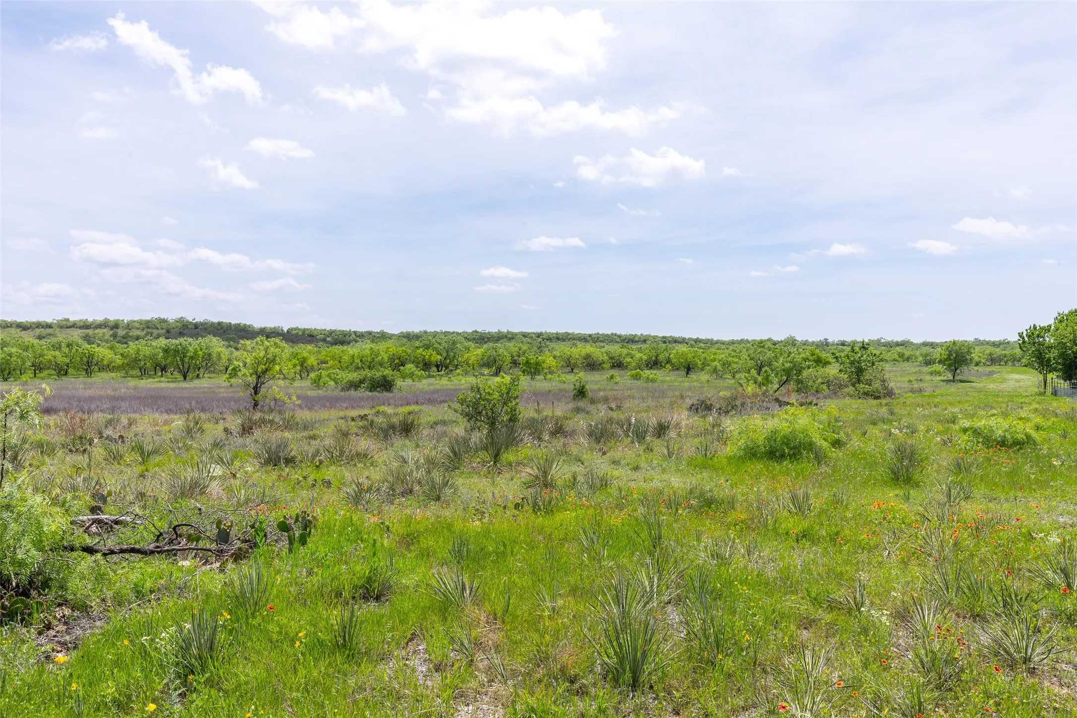 Unimproved Land For Sale in Taylor County , 7416B Highway 84, Lawn, Texas 79530, 0, 0, Garage spaces, 0 Sqft, built in 0, Price $469,900, mls#21316440, Real Estate Agent in Lawn, Homes For Sale in Taylor county, Homes For Sale in Lawn, Realtor in Lawn Texas, Real Estate Brokerage Independent Realty Texas, Luminita Cordes Realtor