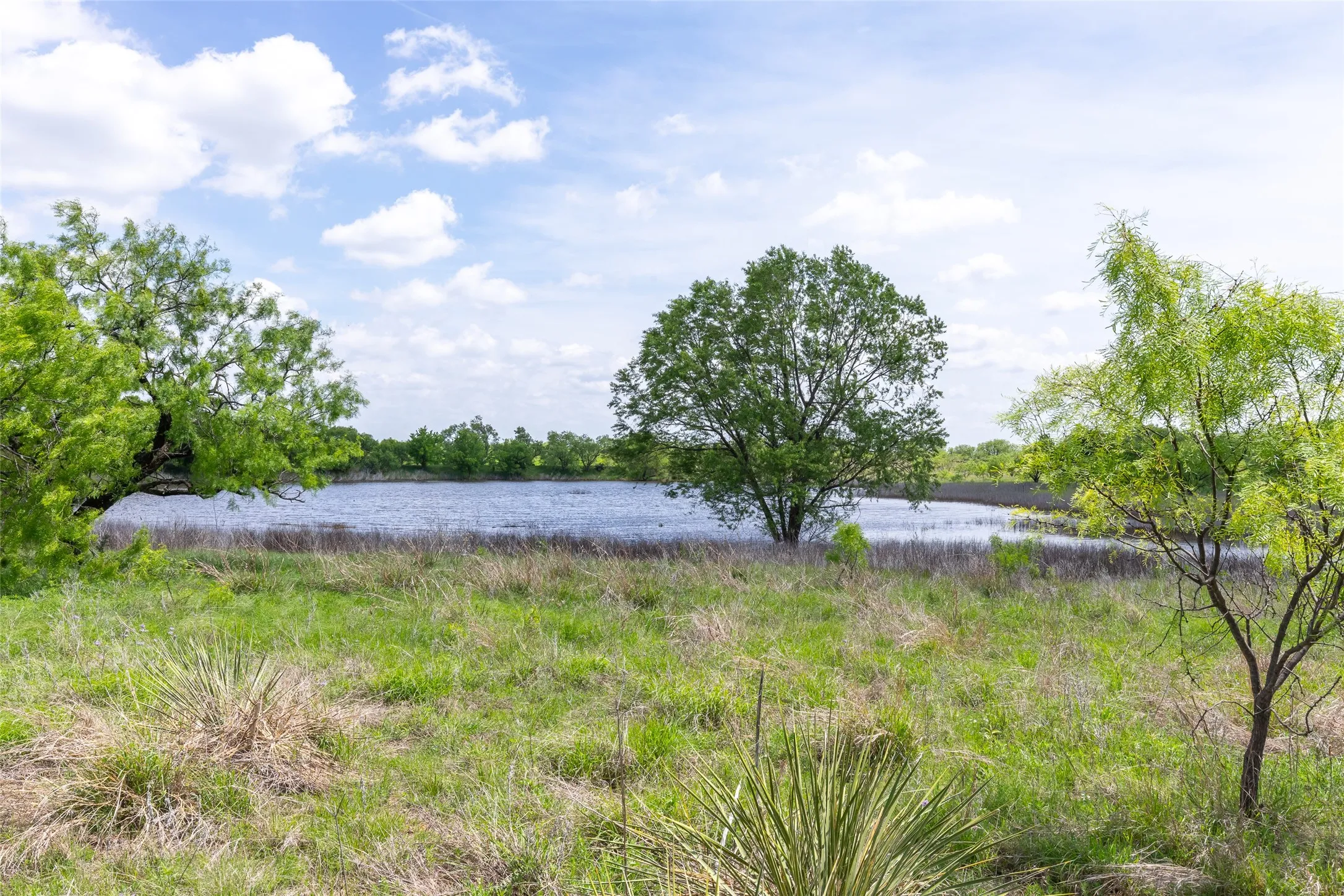 Unimproved Land For Sale in Taylor County , 7416B Highway 84, Lawn, Texas 79530, 0, 0, Garage spaces, 0 Sqft, built in 0, Price $469,900, mls#21316440, Real Estate Agent in Lawn, Homes For Sale in Taylor county, Homes For Sale in Lawn, Realtor in Lawn Texas, Real Estate Brokerage Independent Realty Texas, Luminita Cordes Realtor