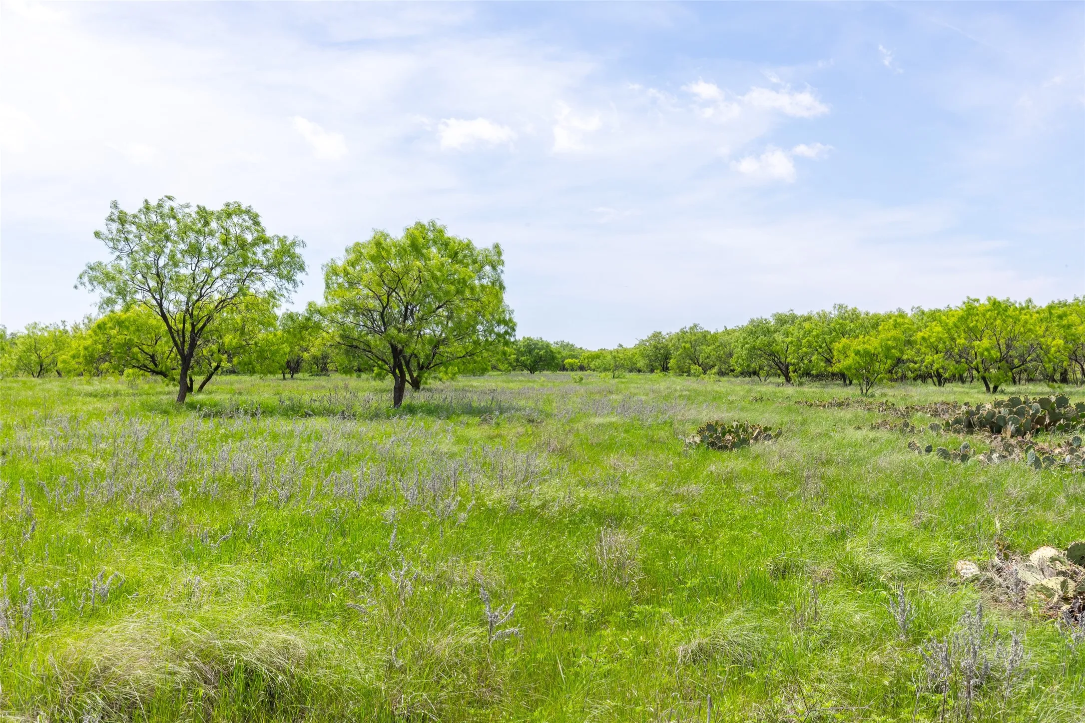 Unimproved Land For Sale in Taylor County , 7416B Highway 84, Lawn, Texas 79530, 0, 0, Garage spaces, 0 Sqft, built in 0, Price $469,900, mls#21316440, Real Estate Agent in Lawn, Homes For Sale in Taylor county, Homes For Sale in Lawn, Realtor in Lawn Texas, Real Estate Brokerage Independent Realty Texas, Luminita Cordes Realtor
