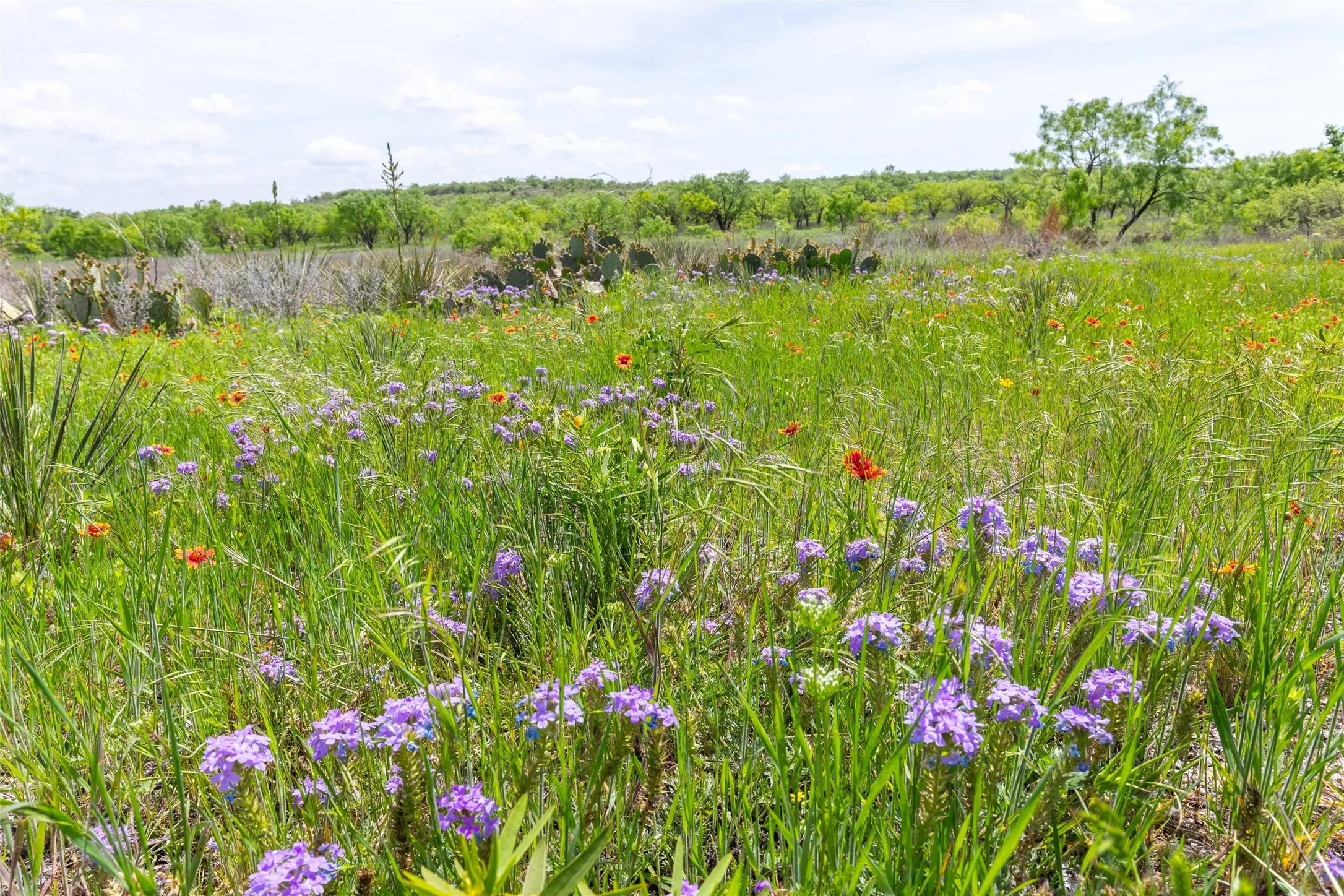 Unimproved Land For Sale in Taylor County , 7416B Highway 84, Lawn, Texas 79530, 0, 0, Garage spaces, 0 Sqft, built in 0, Price $469,900, mls#21316440, Real Estate Agent in Lawn, Homes For Sale in Taylor county, Homes For Sale in Lawn, Realtor in Lawn Texas, Real Estate Brokerage Independent Realty Texas, Luminita Cordes Realtor