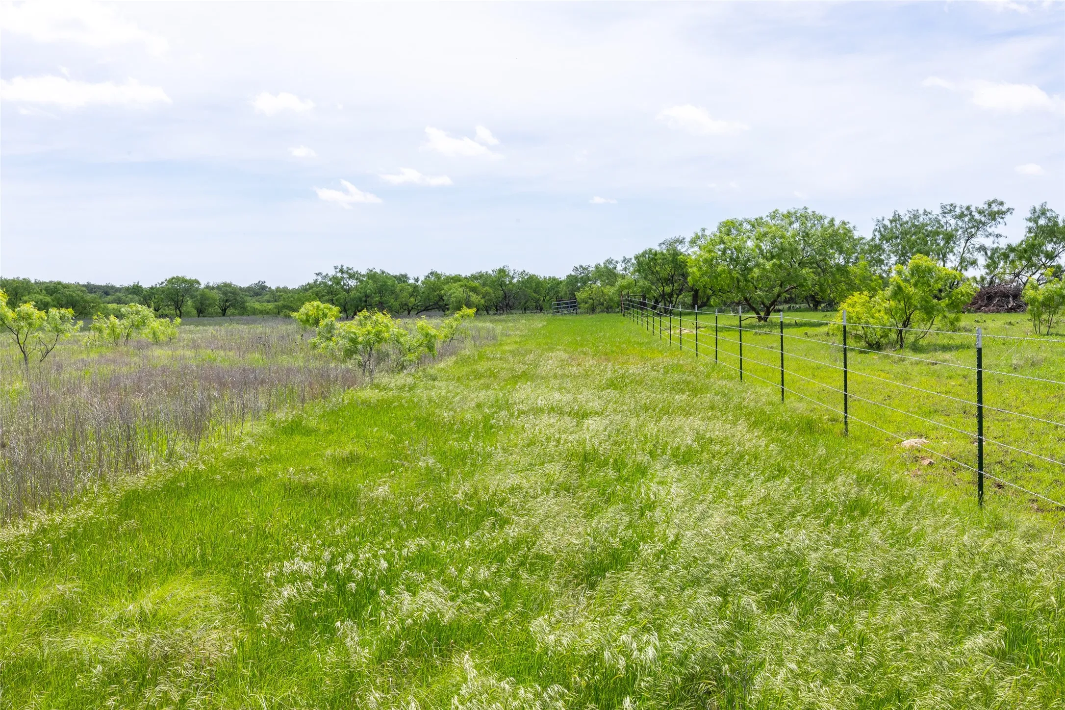 Unimproved Land For Sale in Taylor County , 7416B Highway 84, Lawn, Texas 79530, 0, 0, Garage spaces, 0 Sqft, built in 0, Price $469,900, mls#21316440, Real Estate Agent in Lawn, Homes For Sale in Taylor county, Homes For Sale in Lawn, Realtor in Lawn Texas, Real Estate Brokerage Independent Realty Texas, Luminita Cordes Realtor