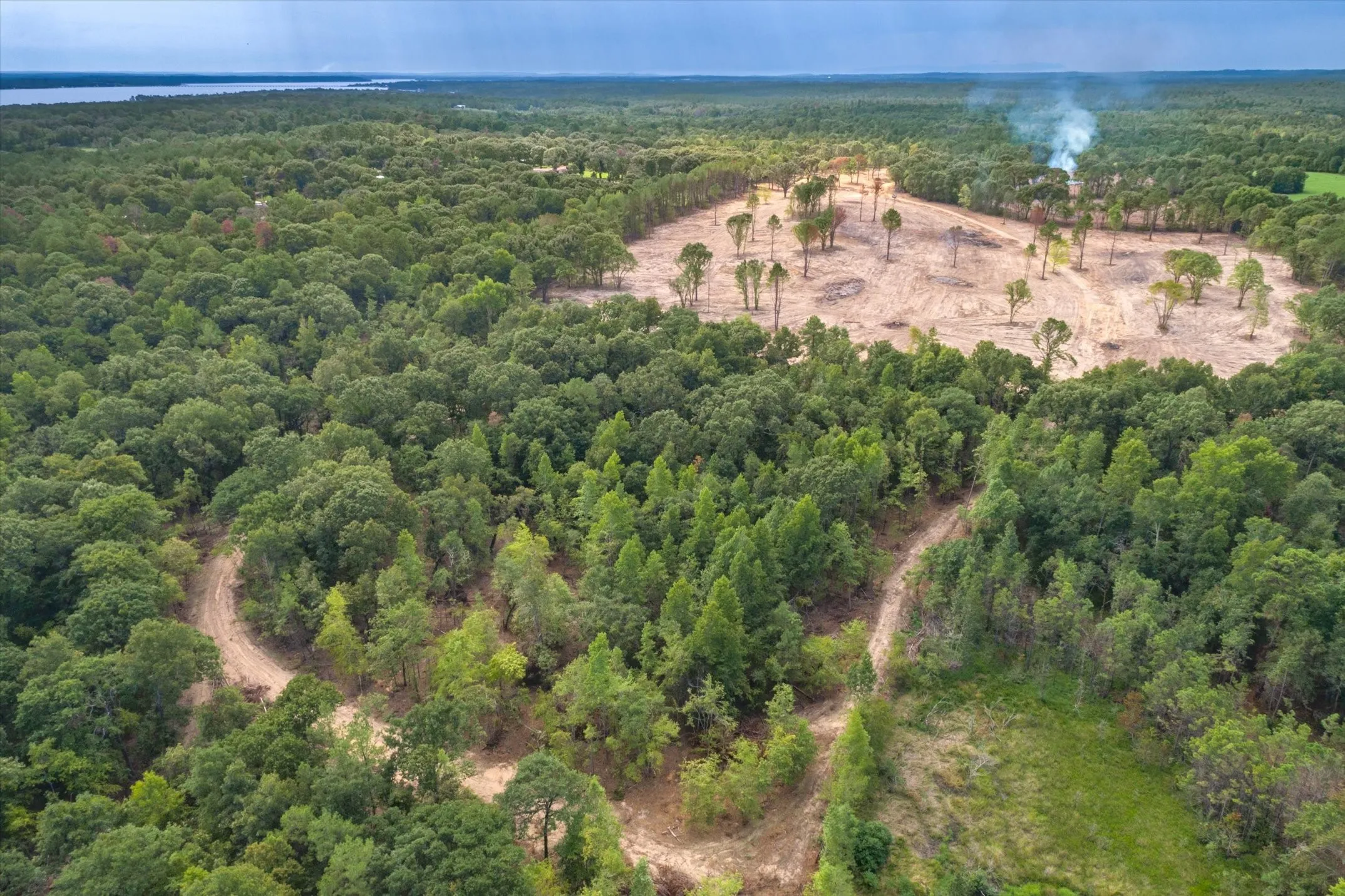 Expansive land parcel featuring dense tree coverage, a cleared area with scattered trees, and visible dirt paths