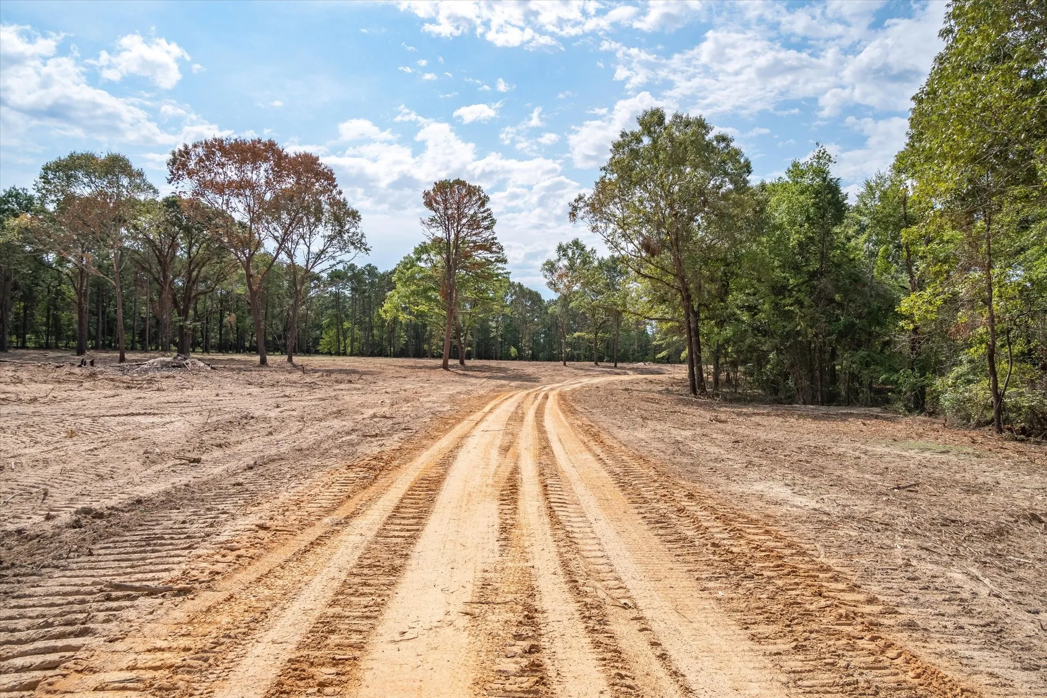 Cleared land offering a natural setting with surrounding trees
