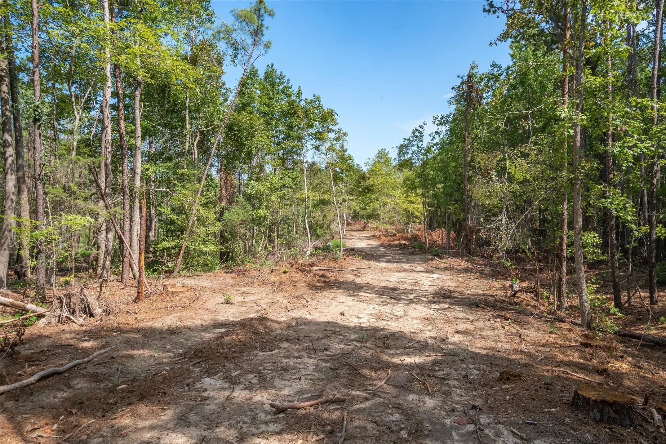 Unimproved Land For Sale in Henderson County , Tract 1 - TBD County Road 4307 Road, Larue, Texas 75770, 0, 0, Garage spaces, 0 Sqft, built in 0, Price $199,900, mls#21316447, Real Estate Agent in Larue, Homes For Sale in Henderson county, Homes For Sale in Larue, Realtor in Larue Texas, Real Estate Brokerage Independent Realty Texas, Luminita Cordes Realtor