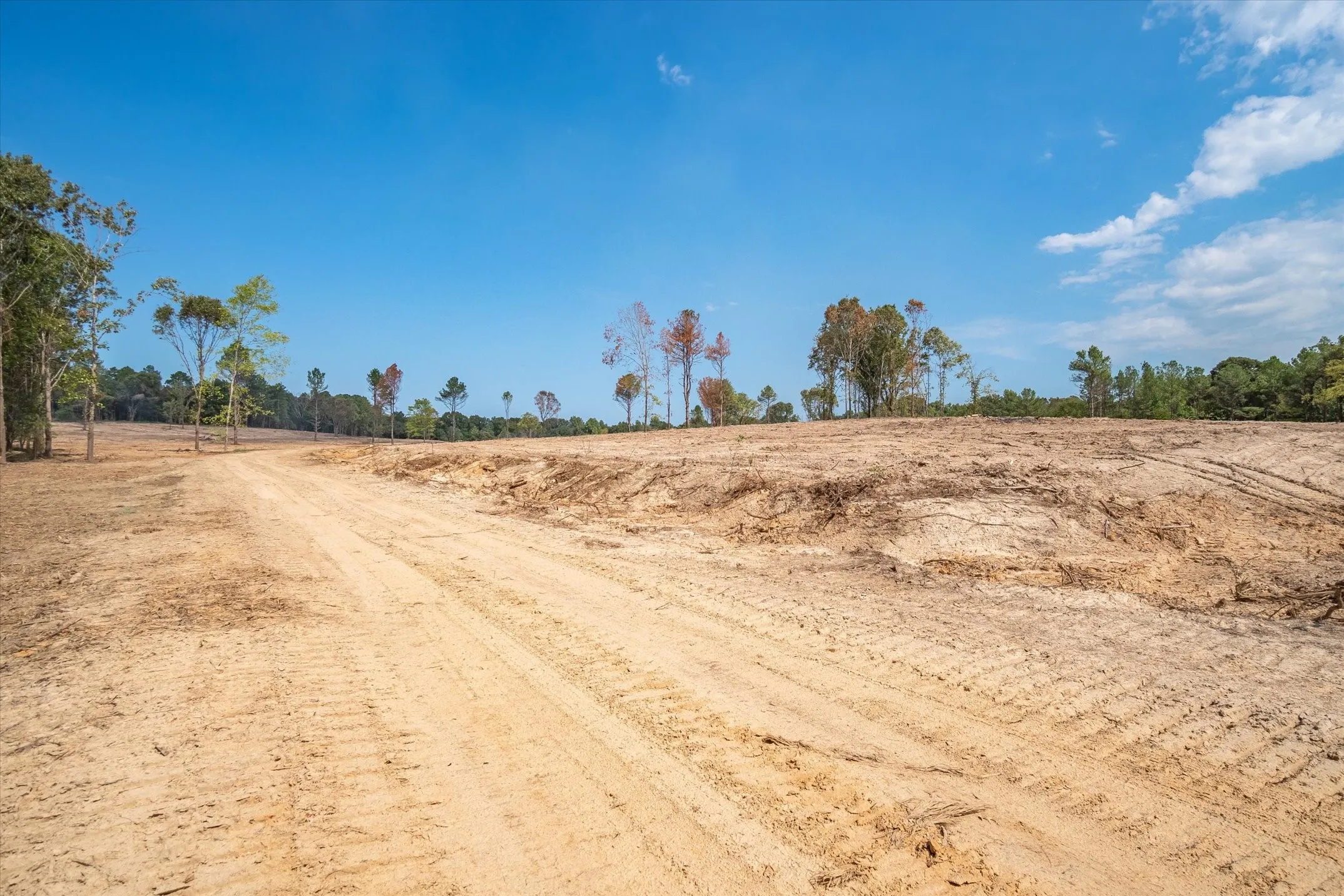 Expansive cleared land parcel featuring a visible dirt path and scattered mature trees