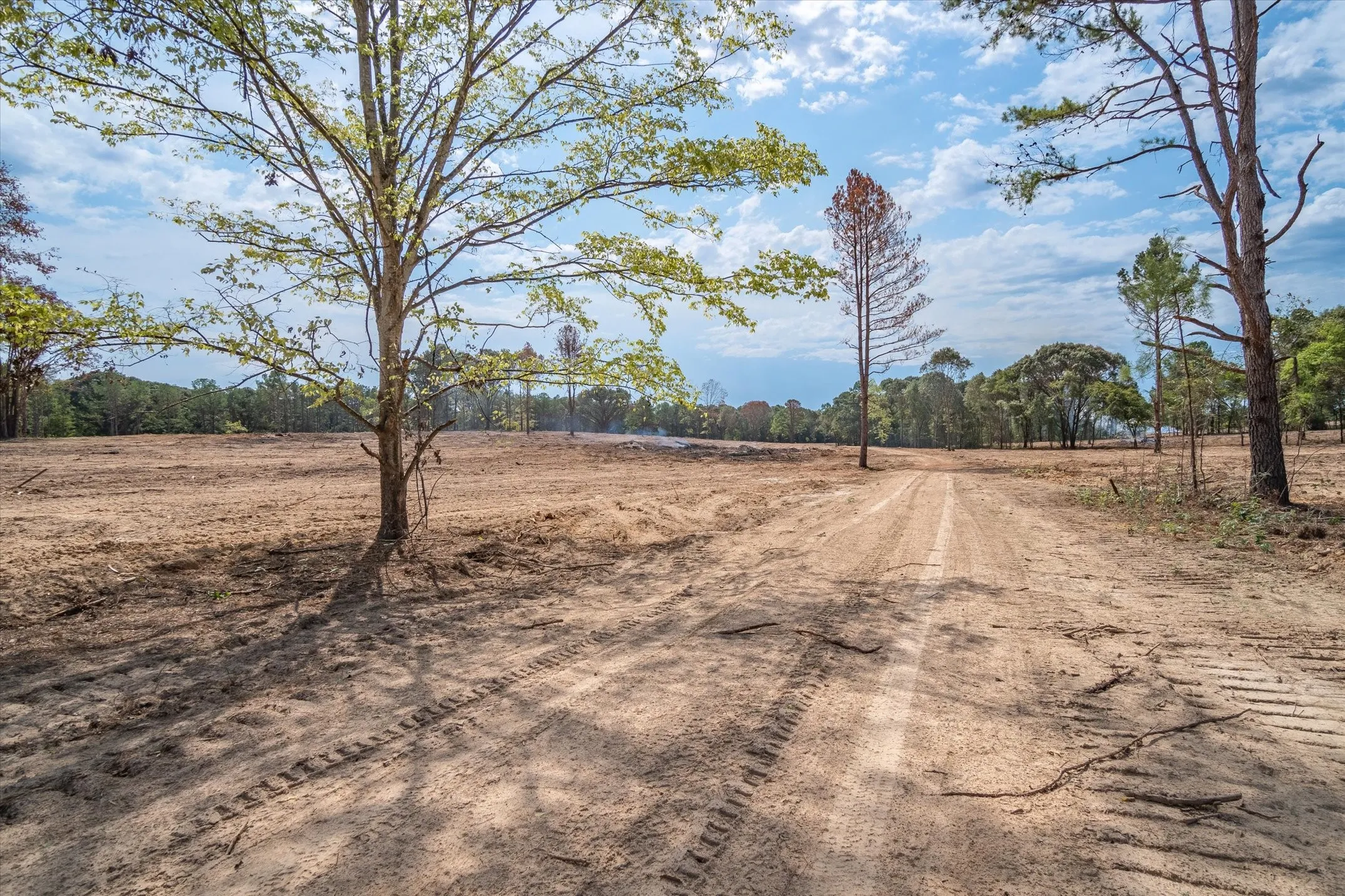 Expansive cleared land parcel with a visible dirt path and mature trees