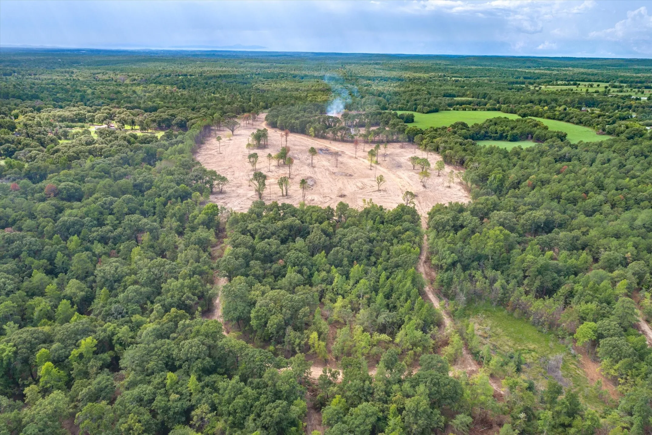 Expansive wooded acreage with a cleared parcel, featuring mature trees and a distant open field