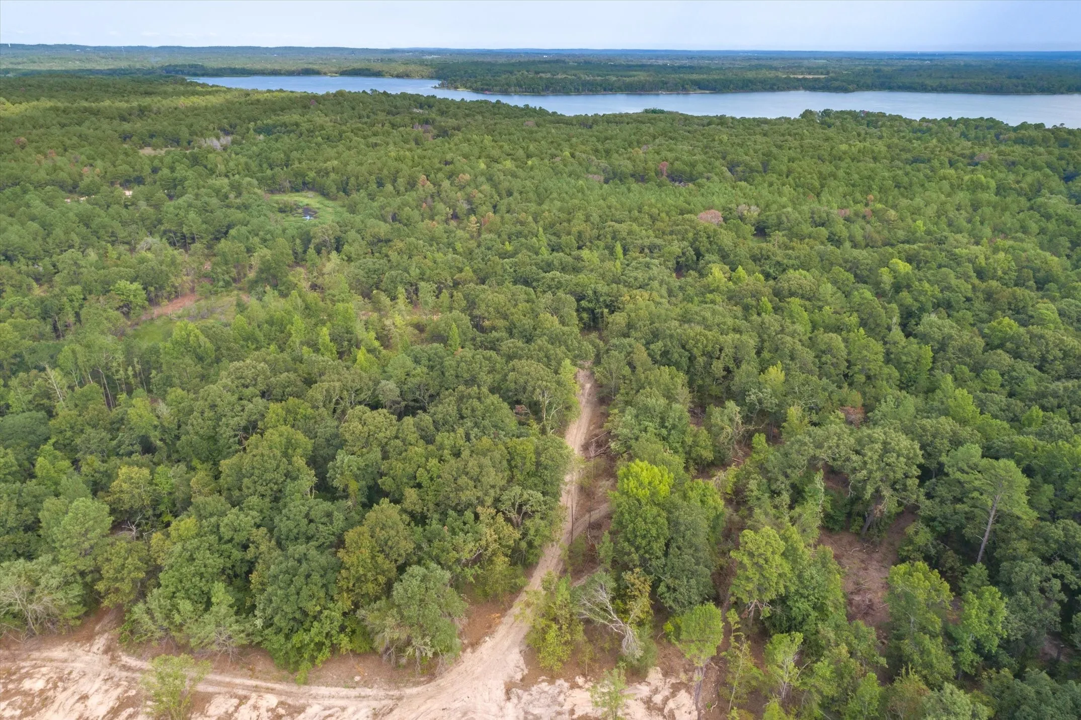 Expansive wooded acreage featuring a cleared dirt path, mature tree canopy, and distant water bodies under a neutral sky
