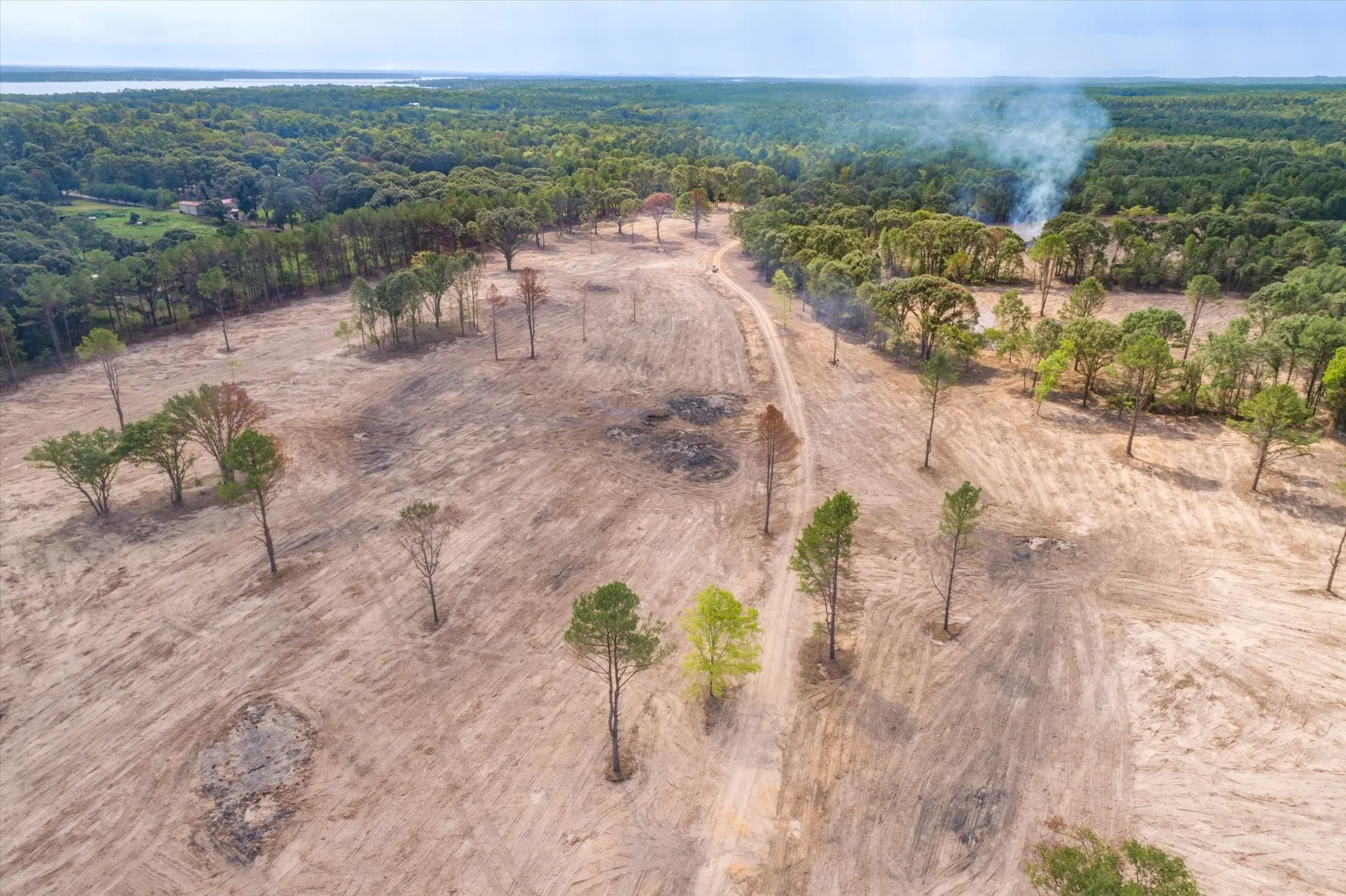 Expansive cleared land featuring scattered mature trees and a visible dirt path