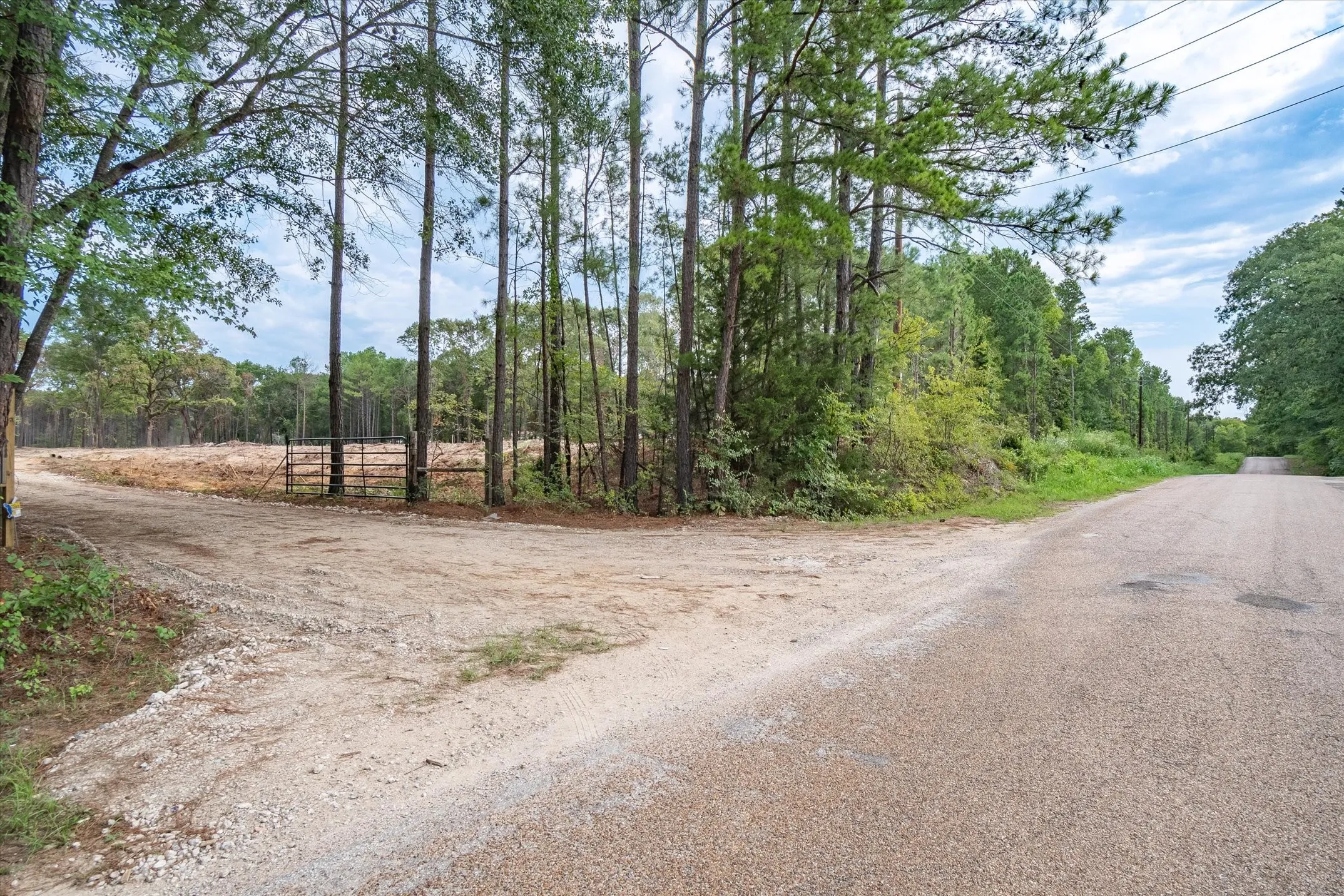 Gravel road frontage with a metal gate entrance leading to a partially cleared lot