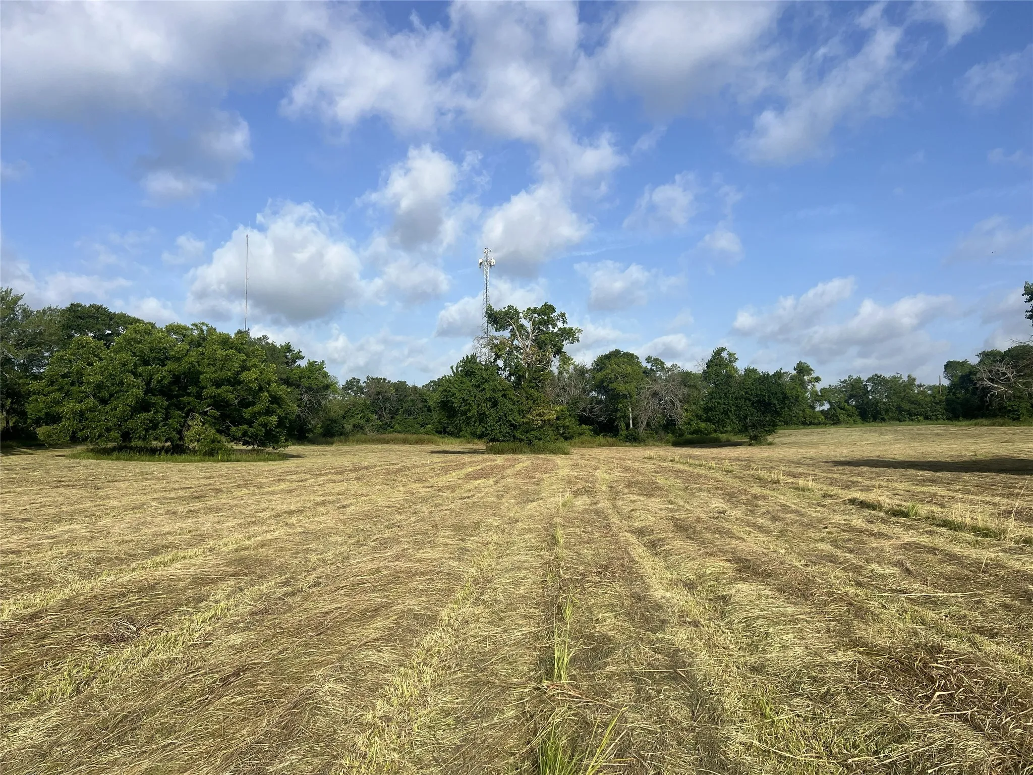 Unimproved Land For Sale in Fannin County , TBD Seven Oaks Road, Bonham, Texas 75418, 0, 0, Garage spaces, 0 Sqft, built in 0, mls#21316374, Real Estate Agent in Bonham, Homes For Sale in Fannin county, Homes For Sale in Bonham, Realtor in Bonham Texas, Real Estate Brokerage Independent Realty Texas, Luminita Cordes Realtor